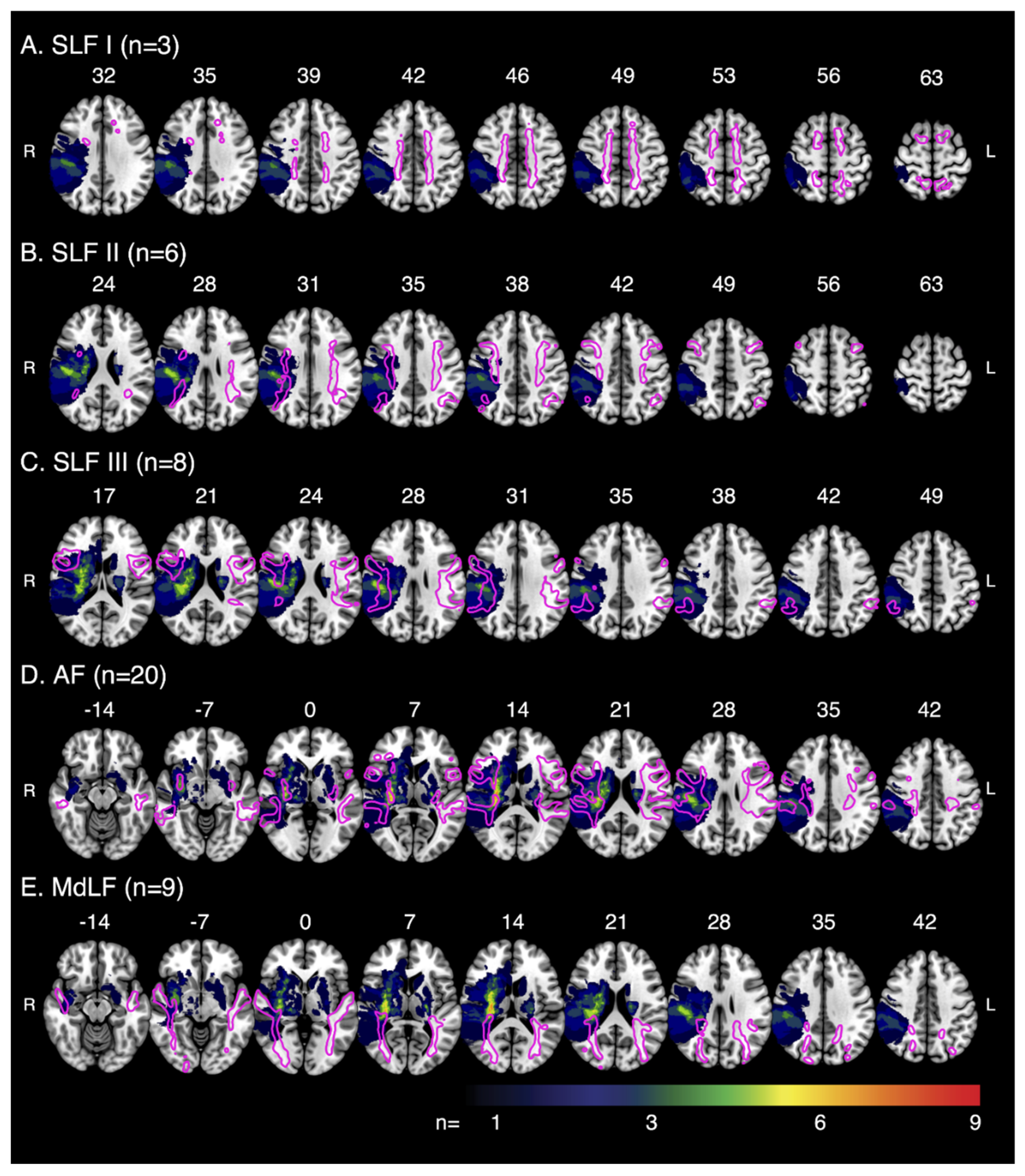 Brainsci 12 01651 g003