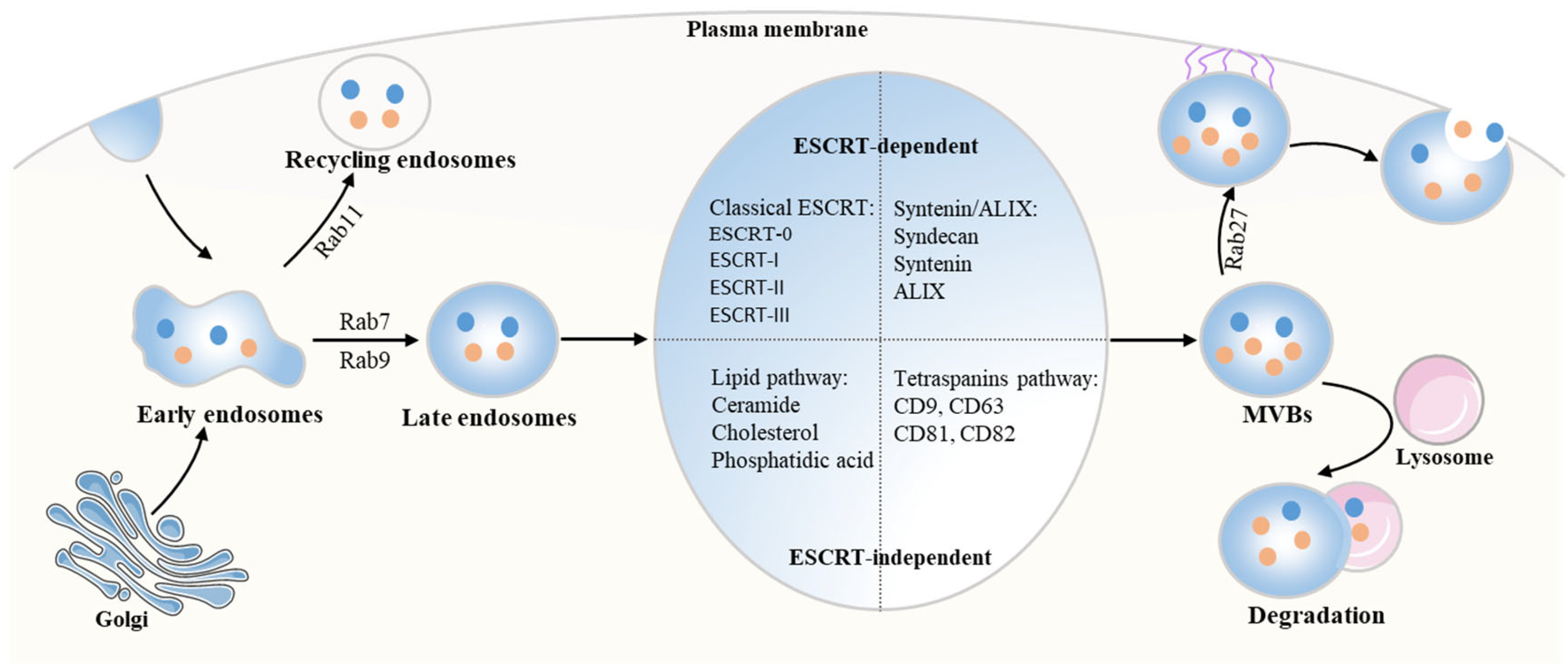 Brainsci 12 01657 g001