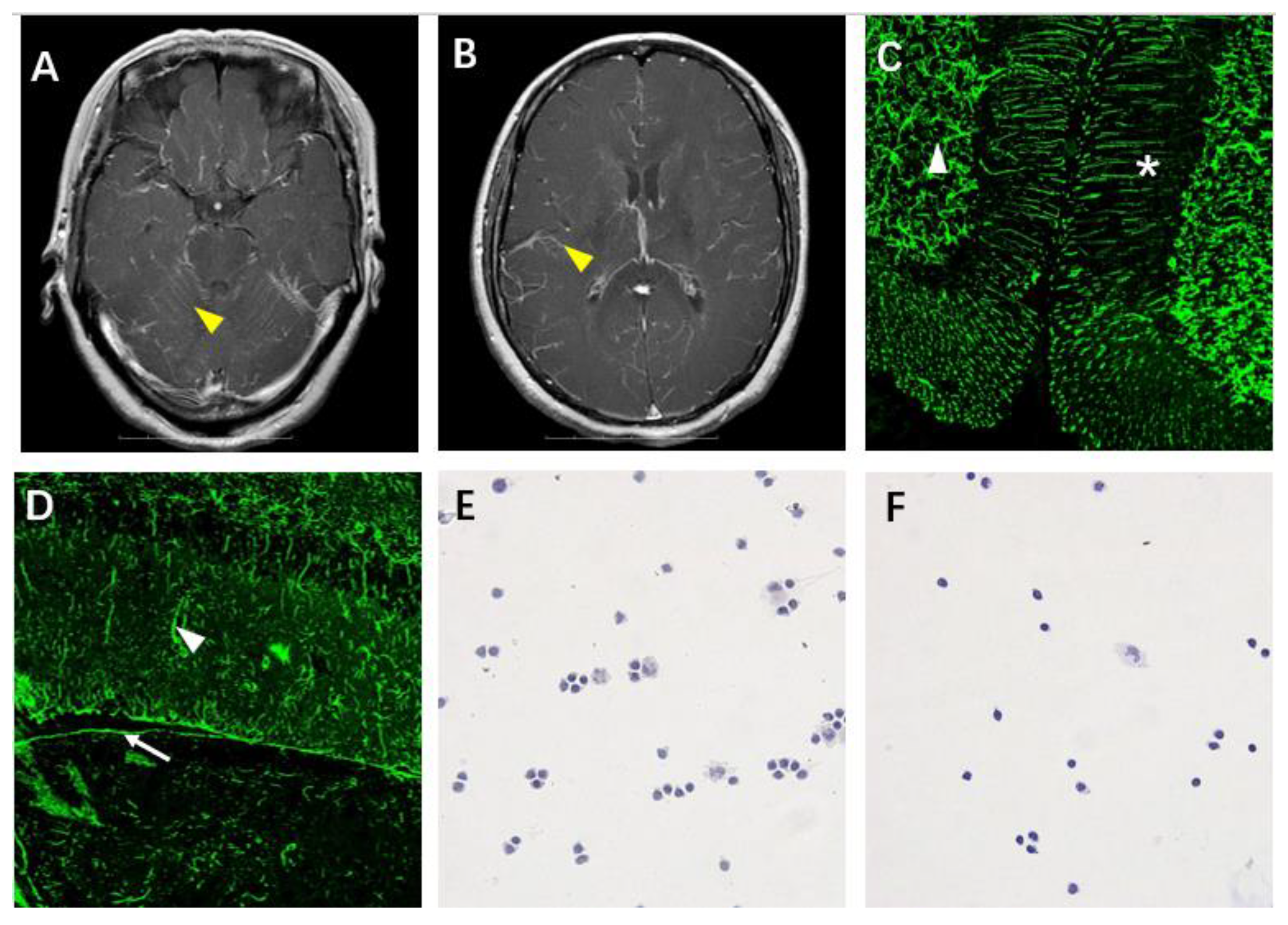 Brainsci 12 01662 g001