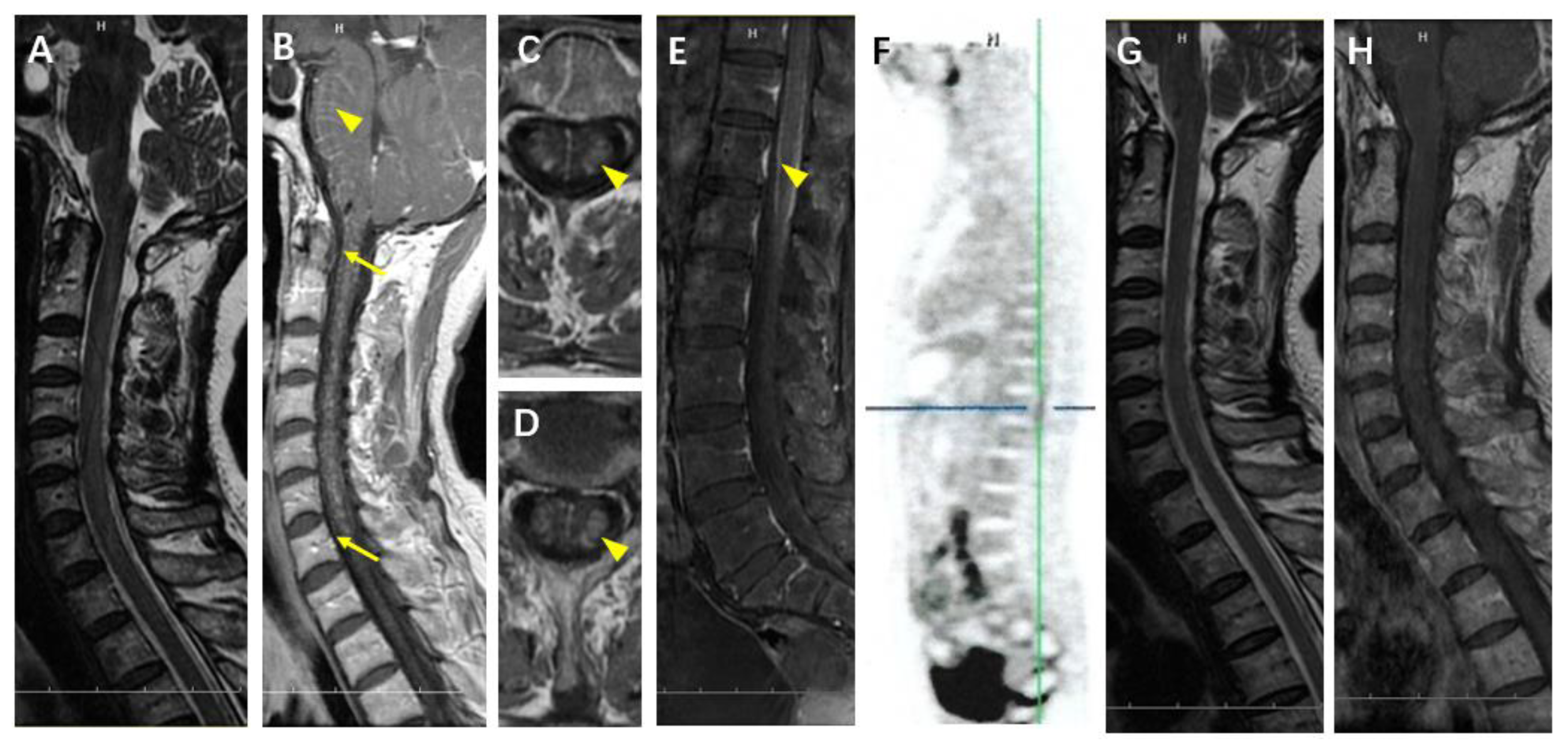 Brainsci 12 01662 g002