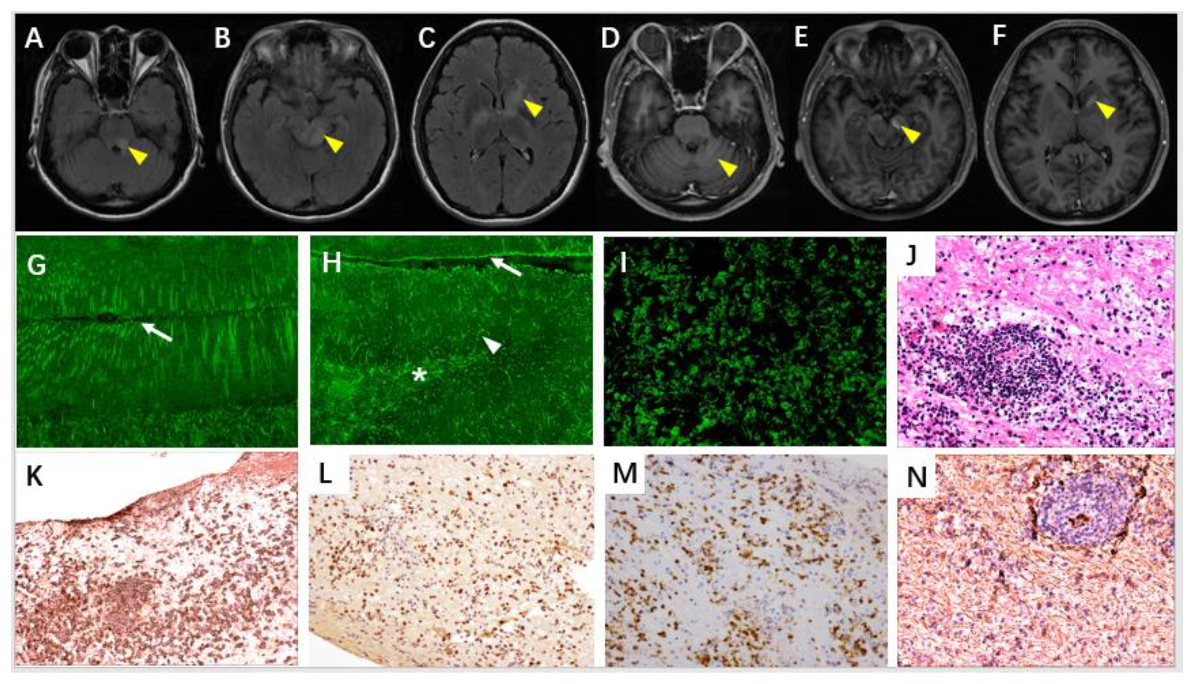 Brainsci 12 01662 g003
