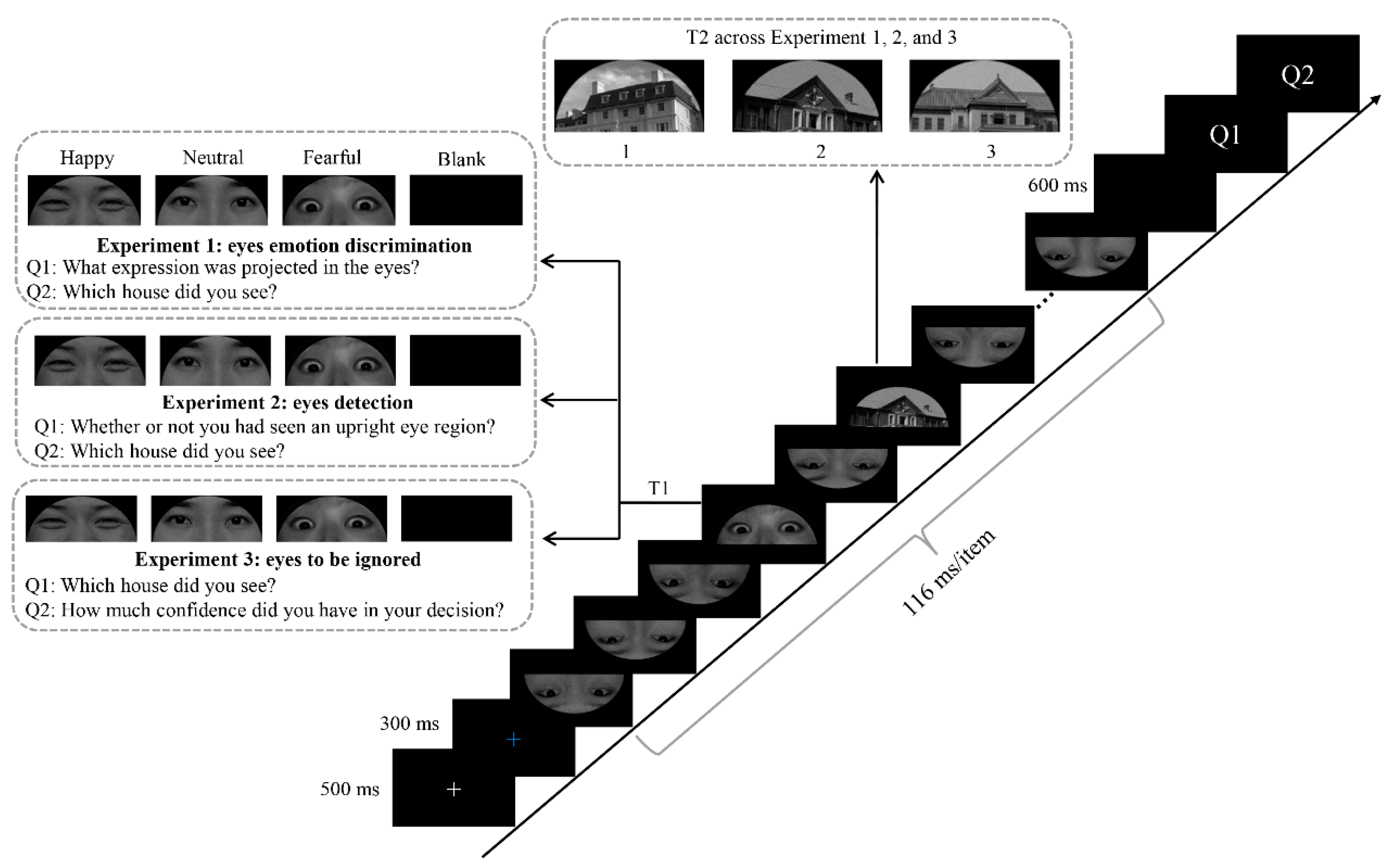 Brain Sciences Free FullText Emotional Valence in the Eye Region