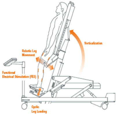 Brainsci 12 01678 i001