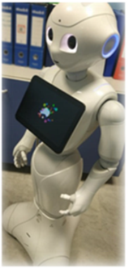 Brainsci 12 01678 i004