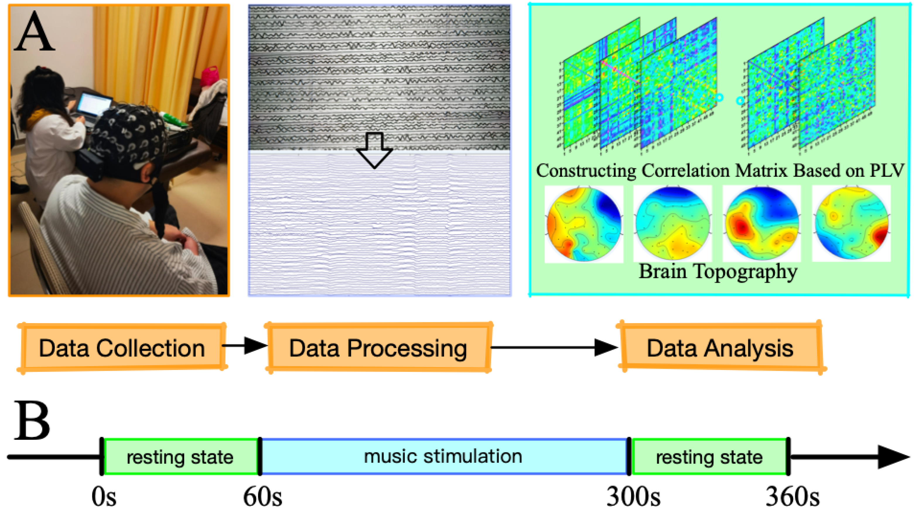 Brainsci 12 01680 g001