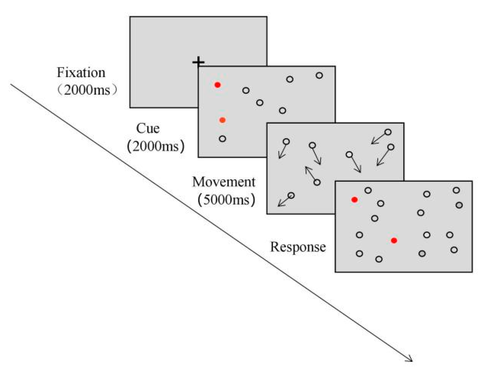 Experimental paradigm of Posner's task.