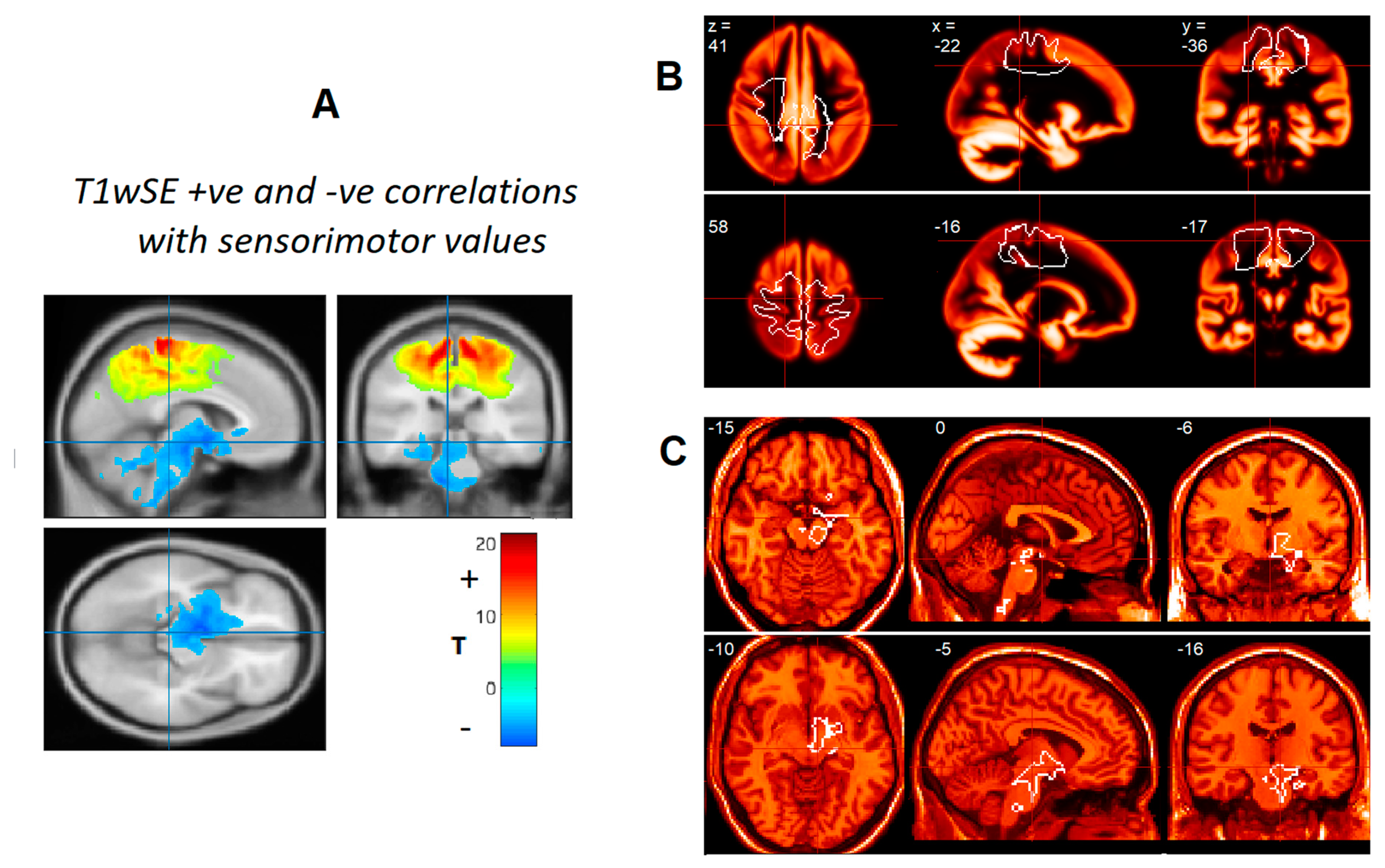 Brainsci 12 01693 g001