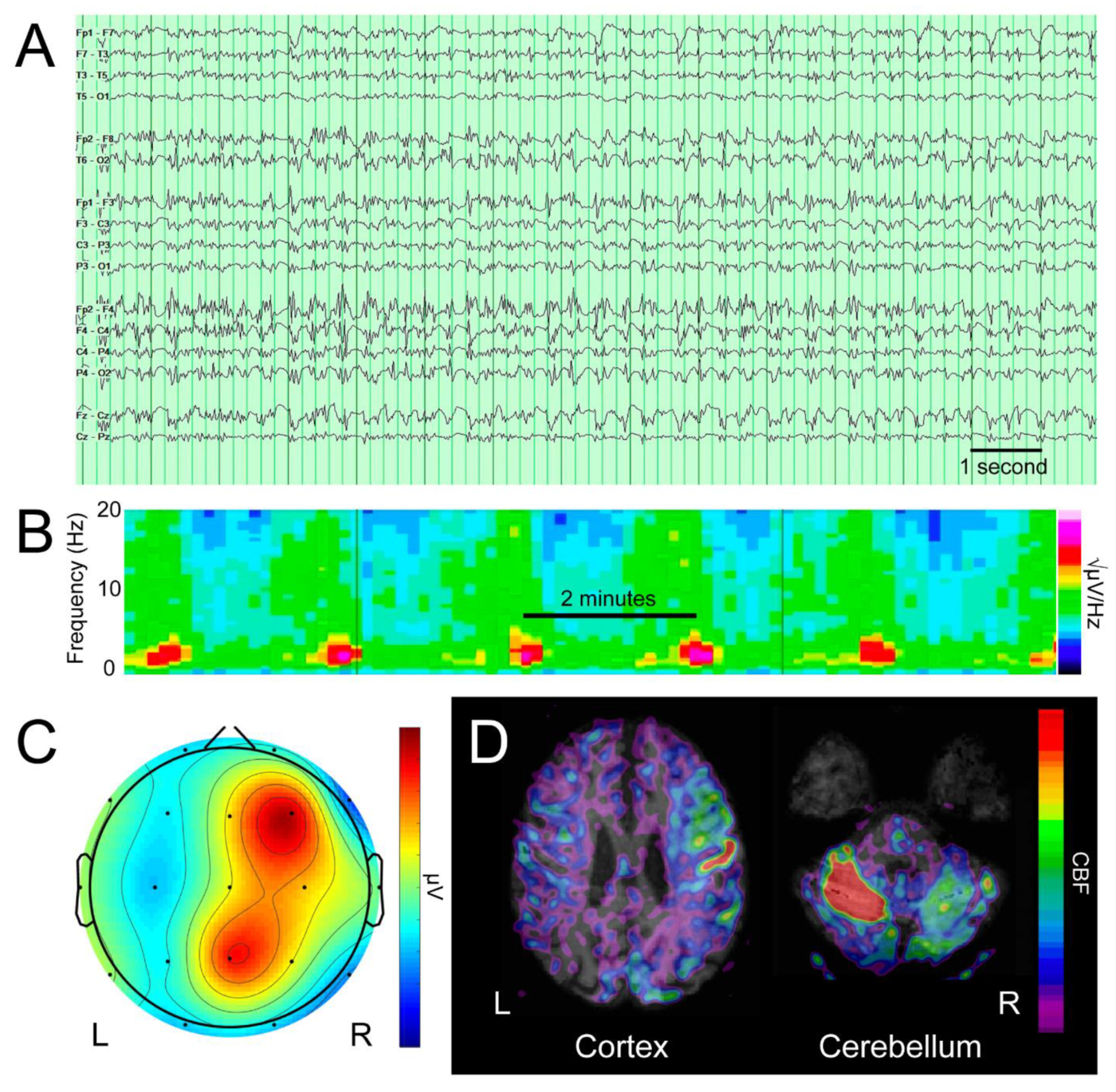 Brainsci 12 01710 g001