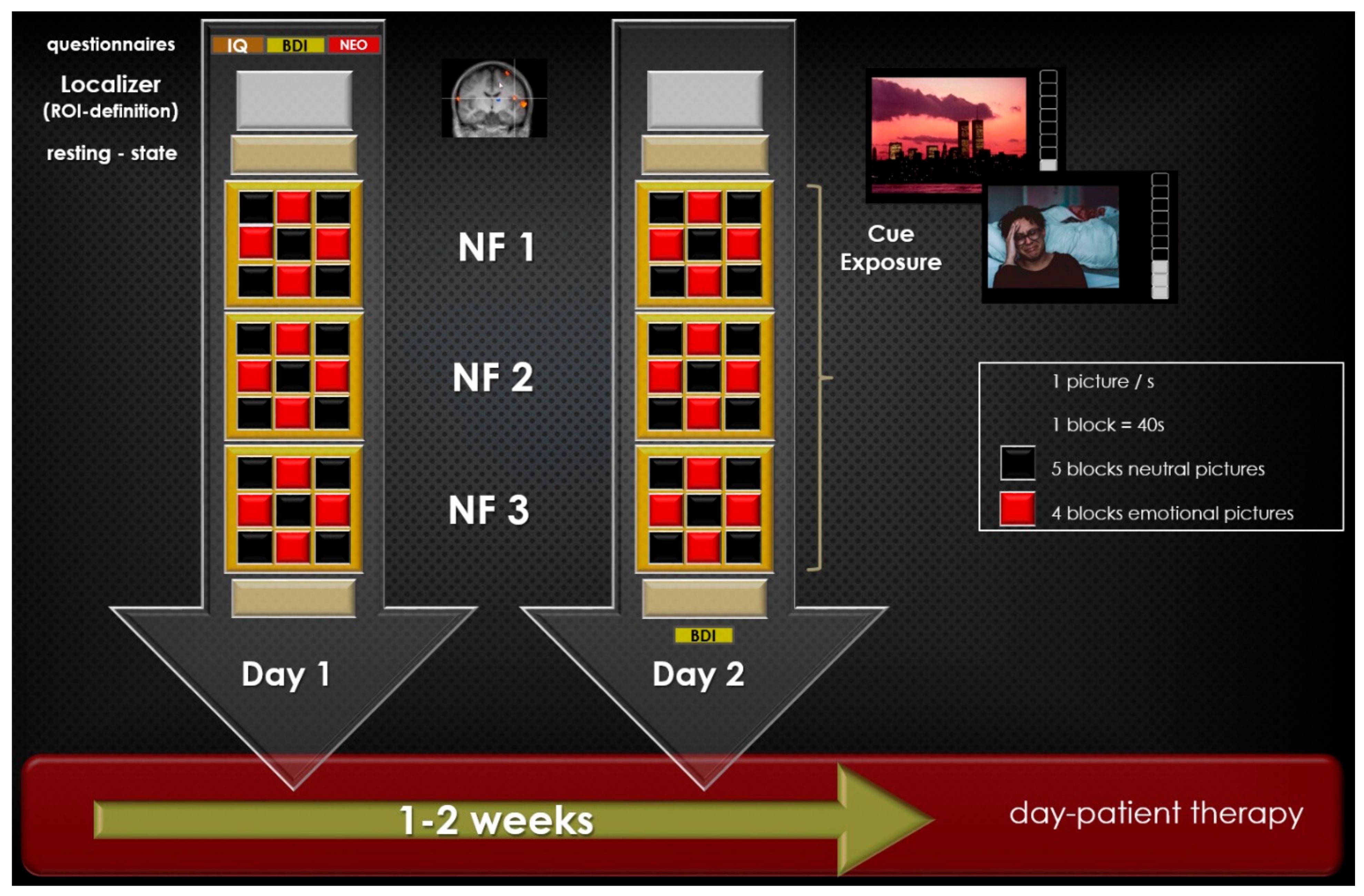 Brainsci 12 01714 g001