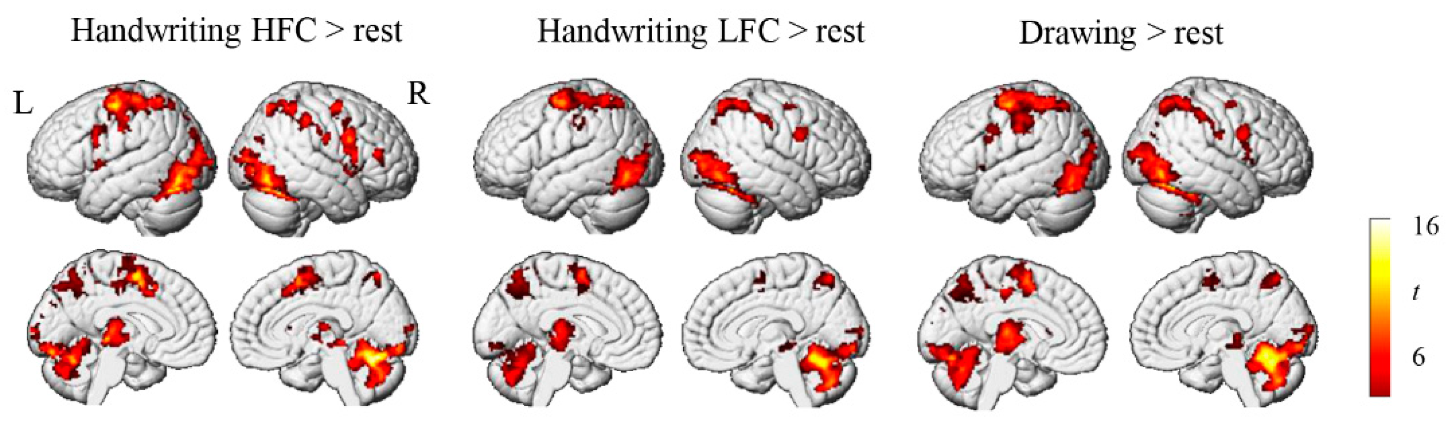 Brainsci 12 01724 g002