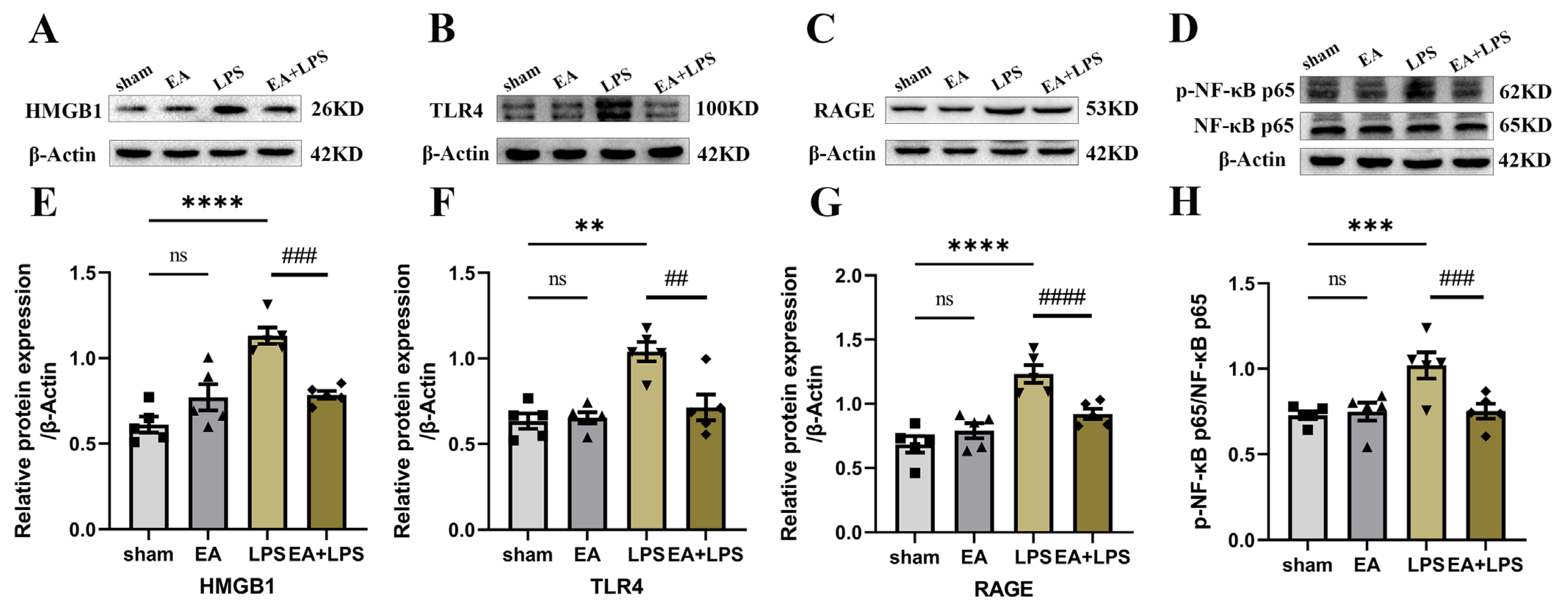 Brainsci 12 01732 g003