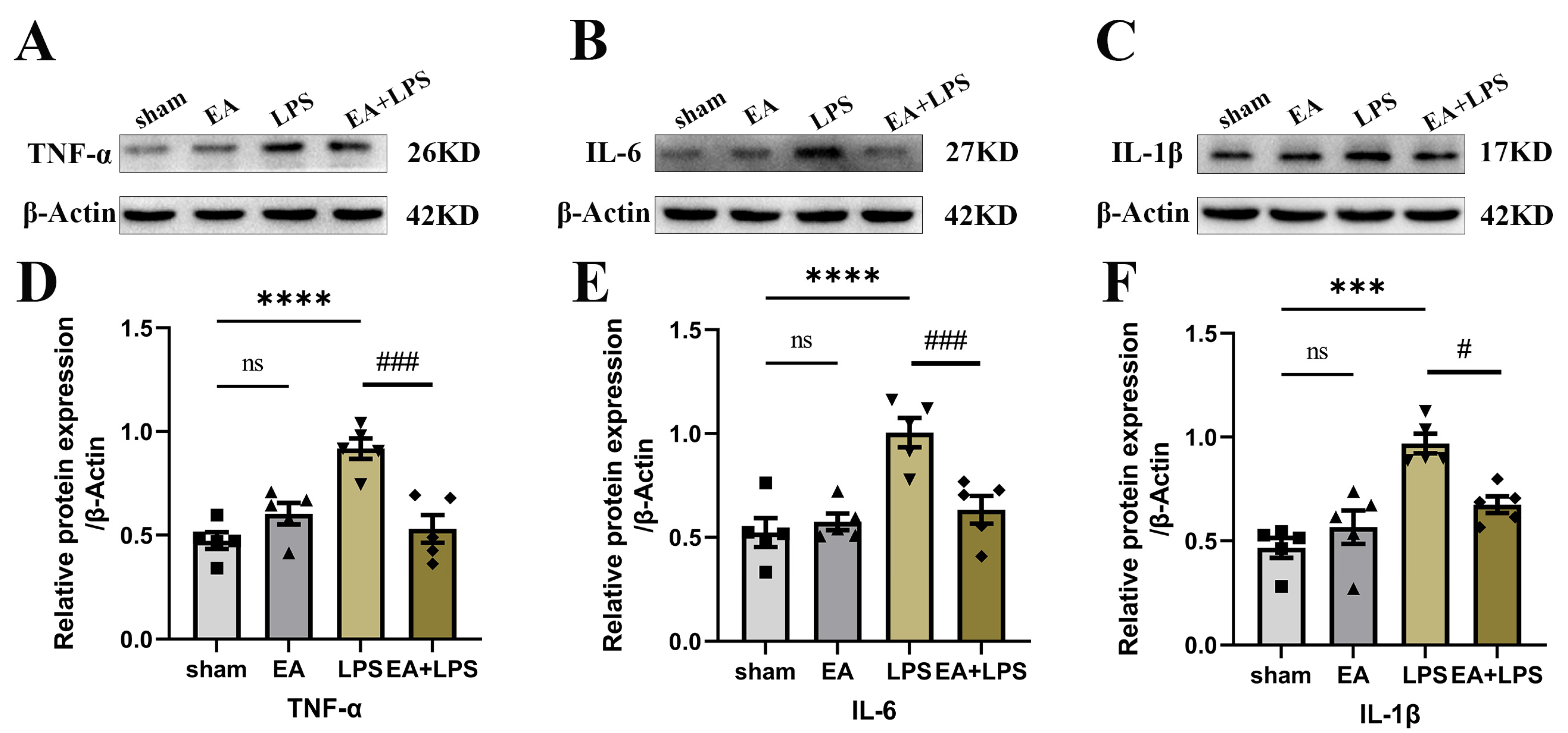 Brainsci 12 01732 g004