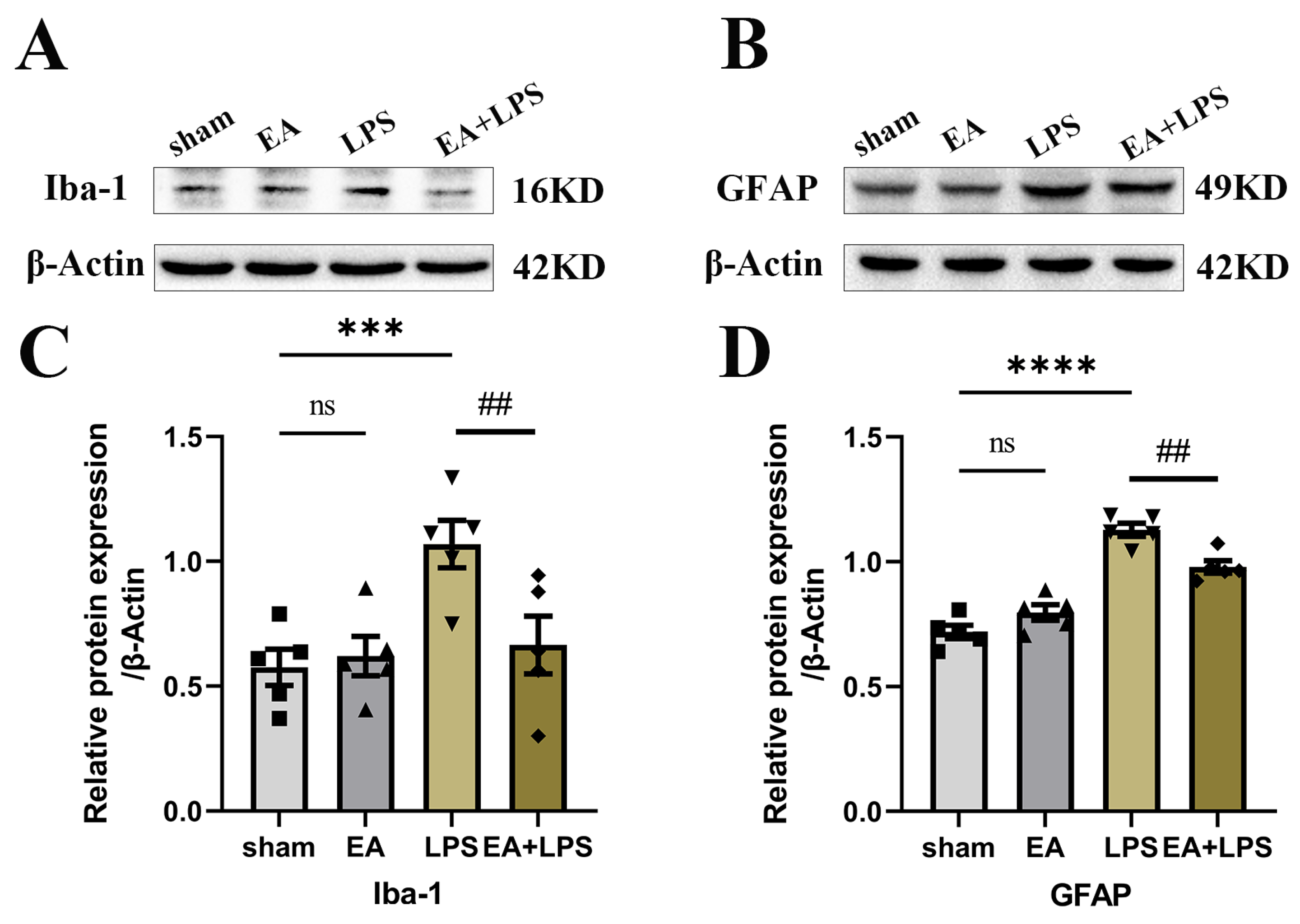 Brainsci 12 01732 g005