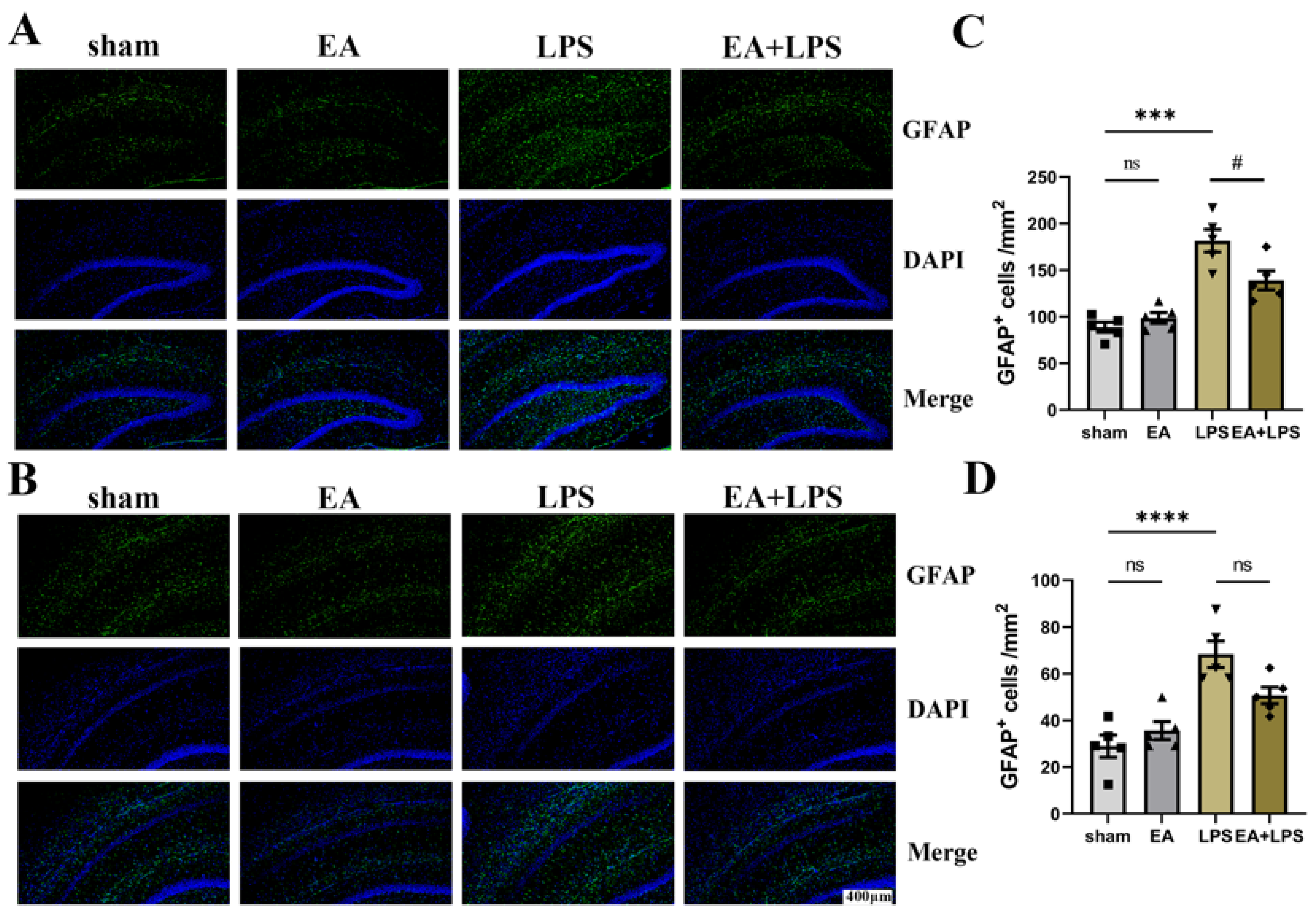 Brainsci 12 01732 g007