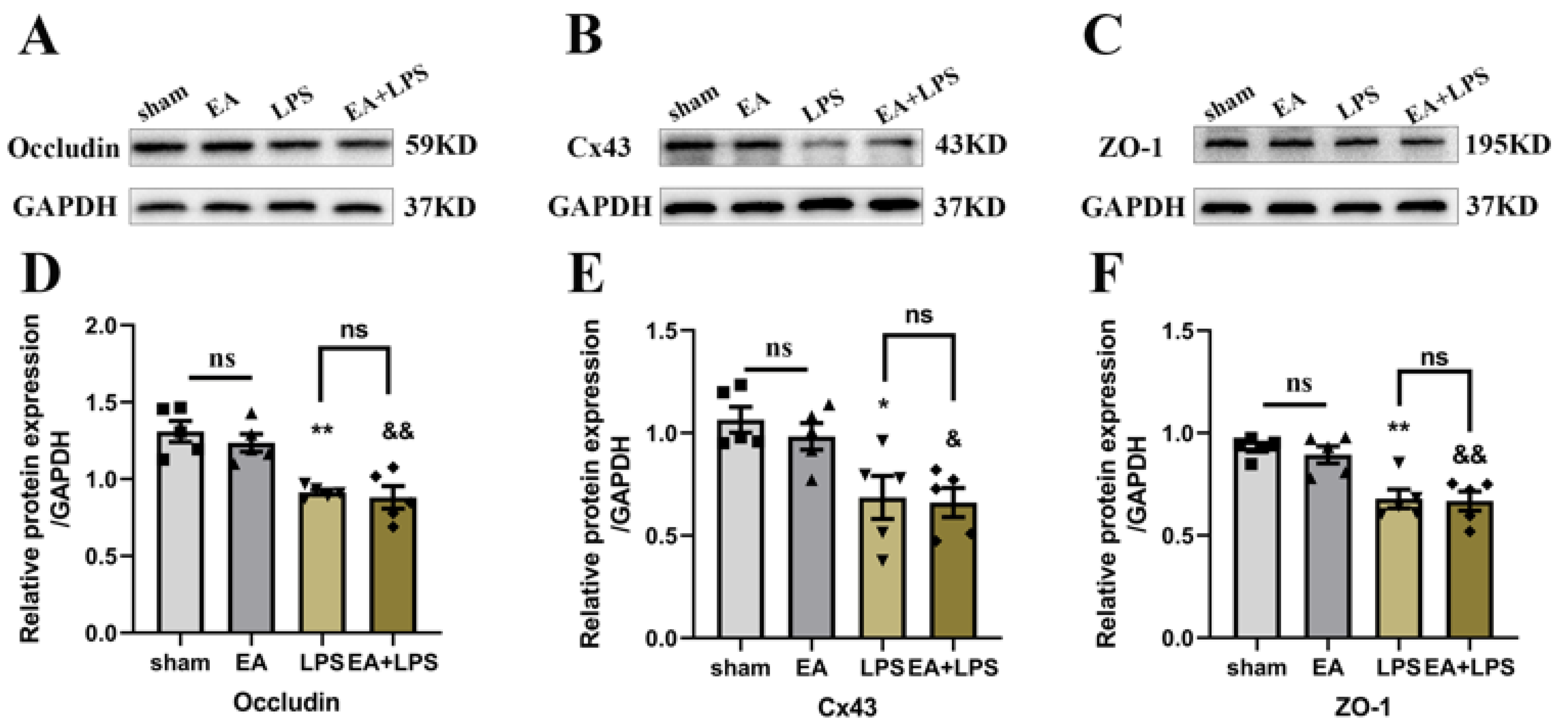 Brainsci 12 01732 g008