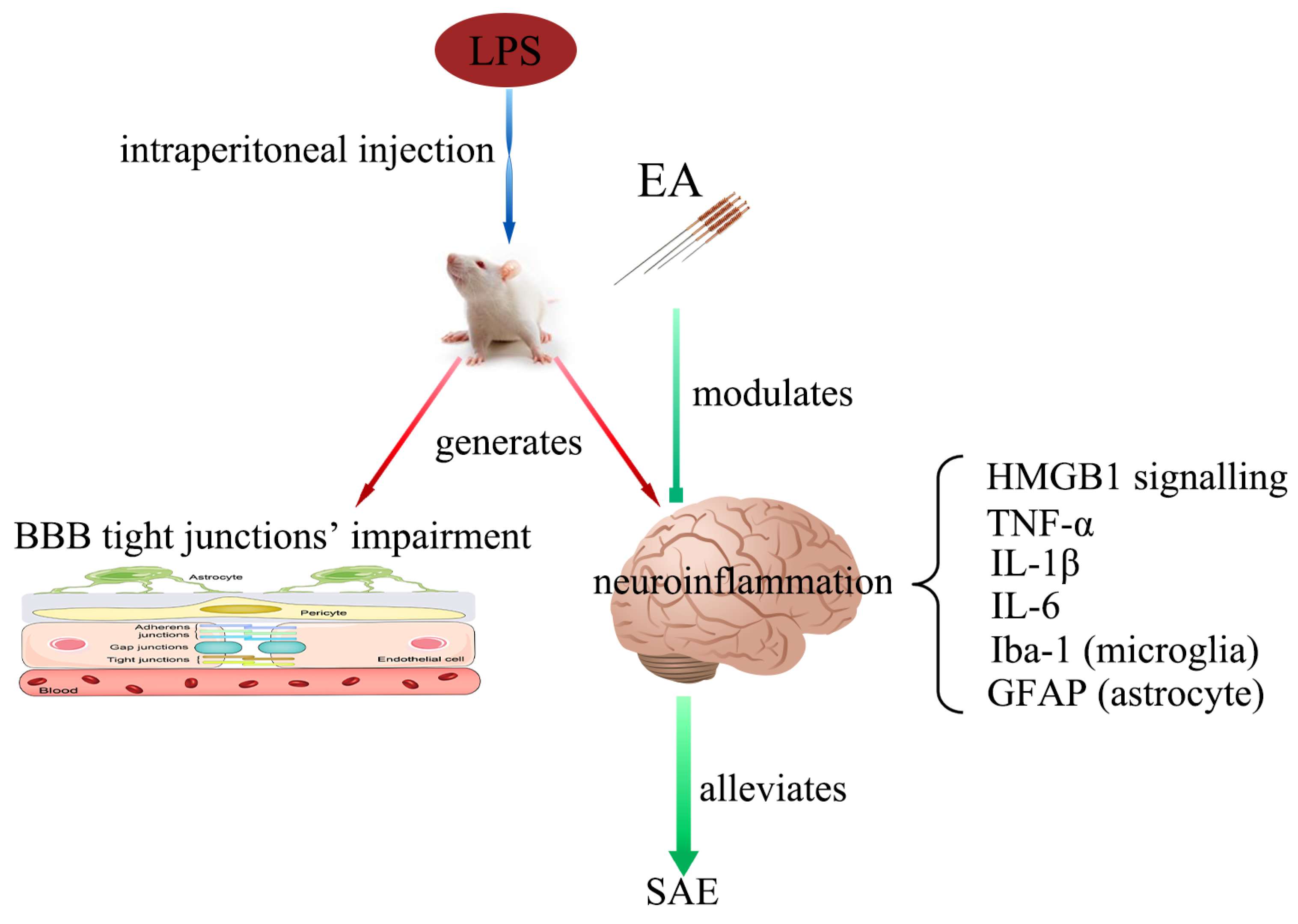 Brainsci 12 01732 g009