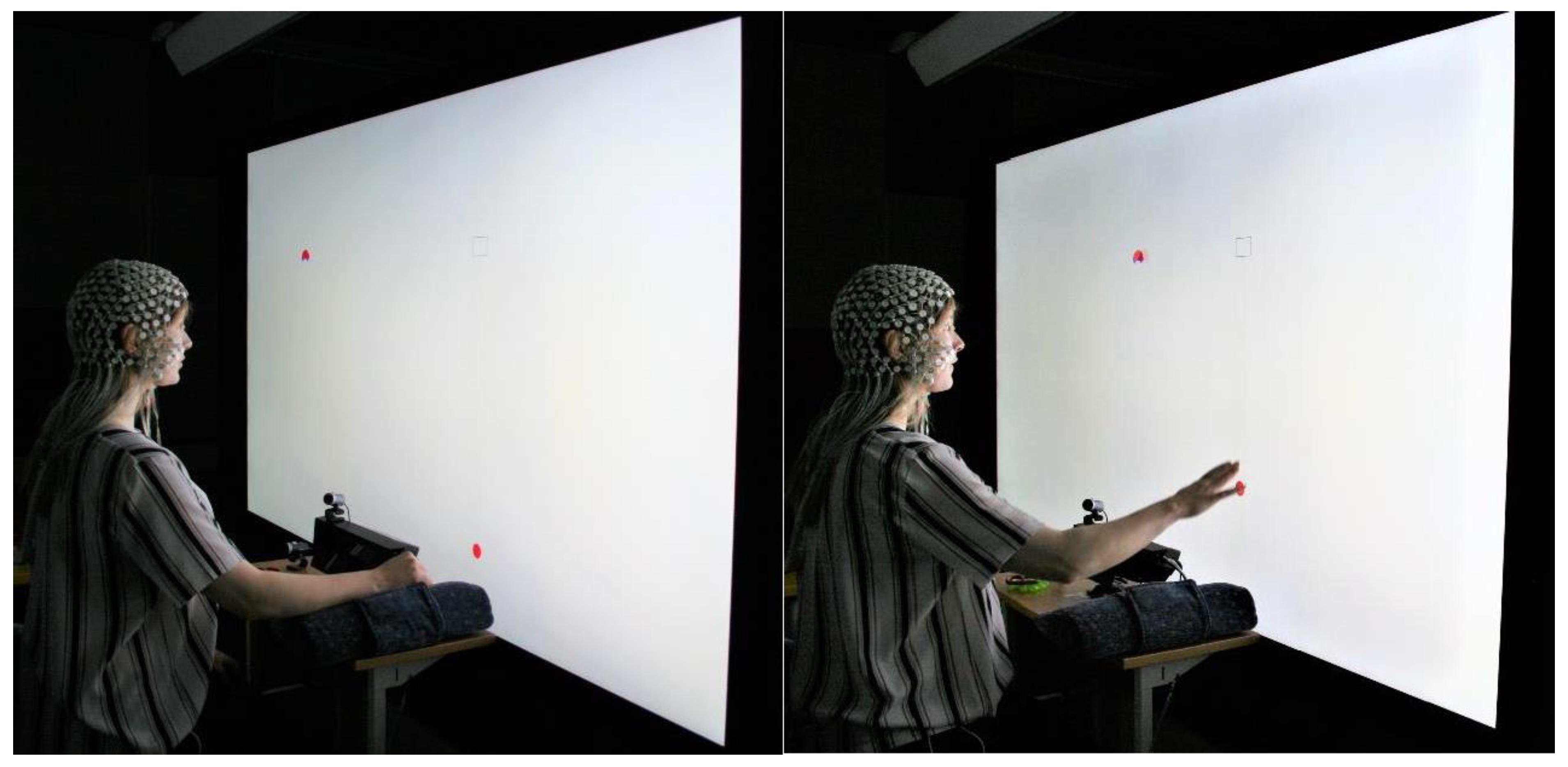 Brainsci 12 01737 g004