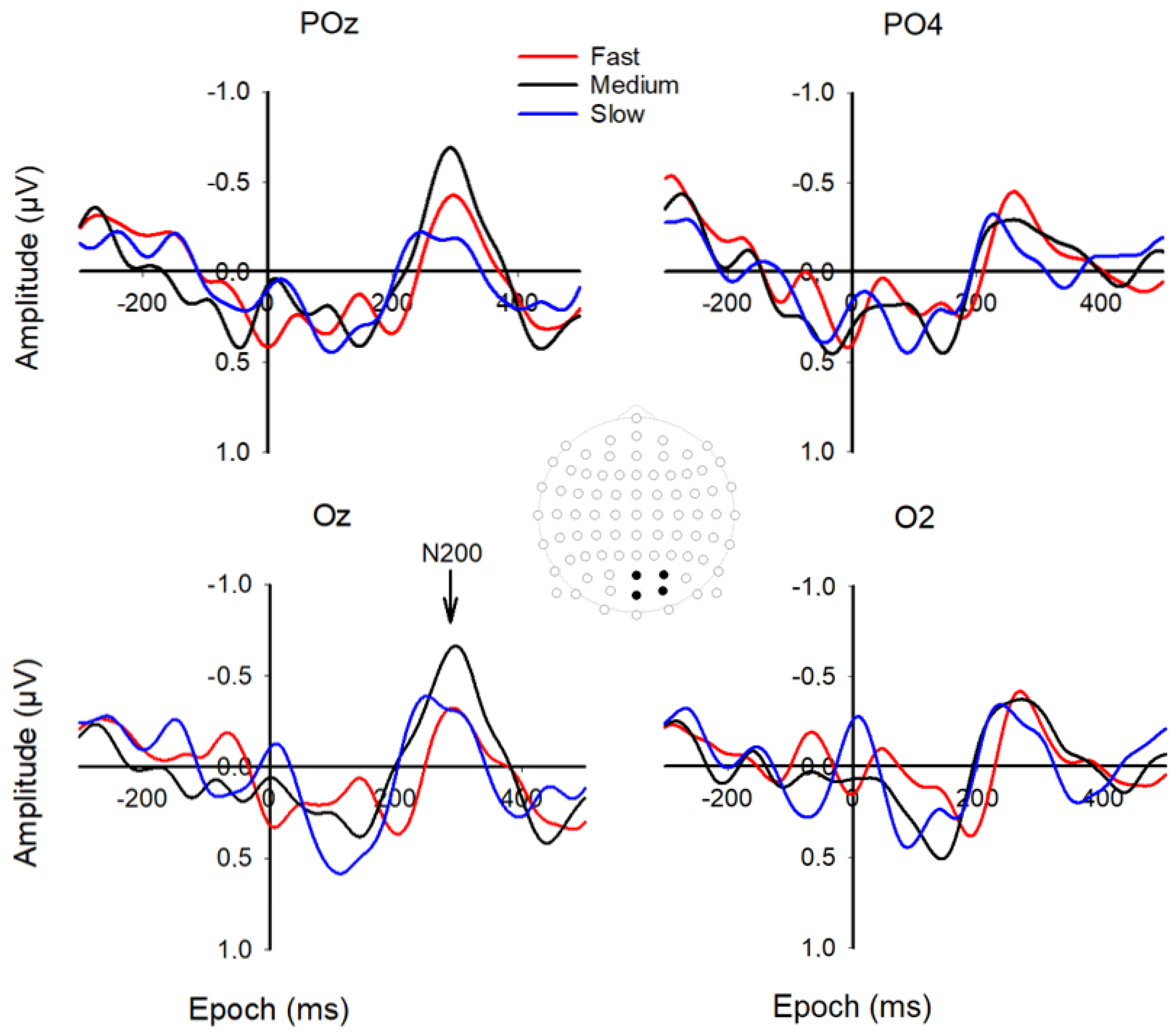 Brainsci 12 01737 g005