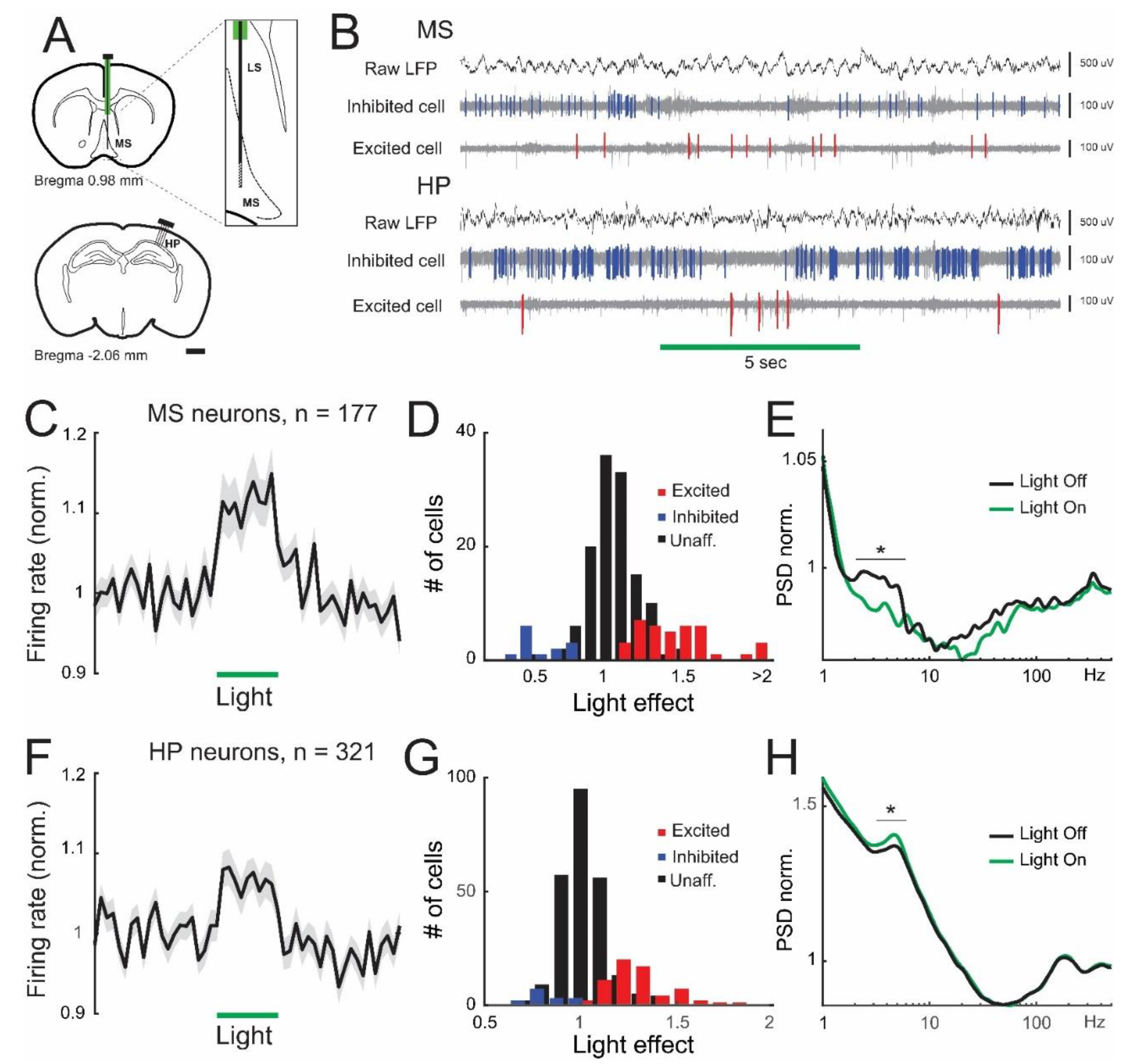 Brainsci 13 00001 g001