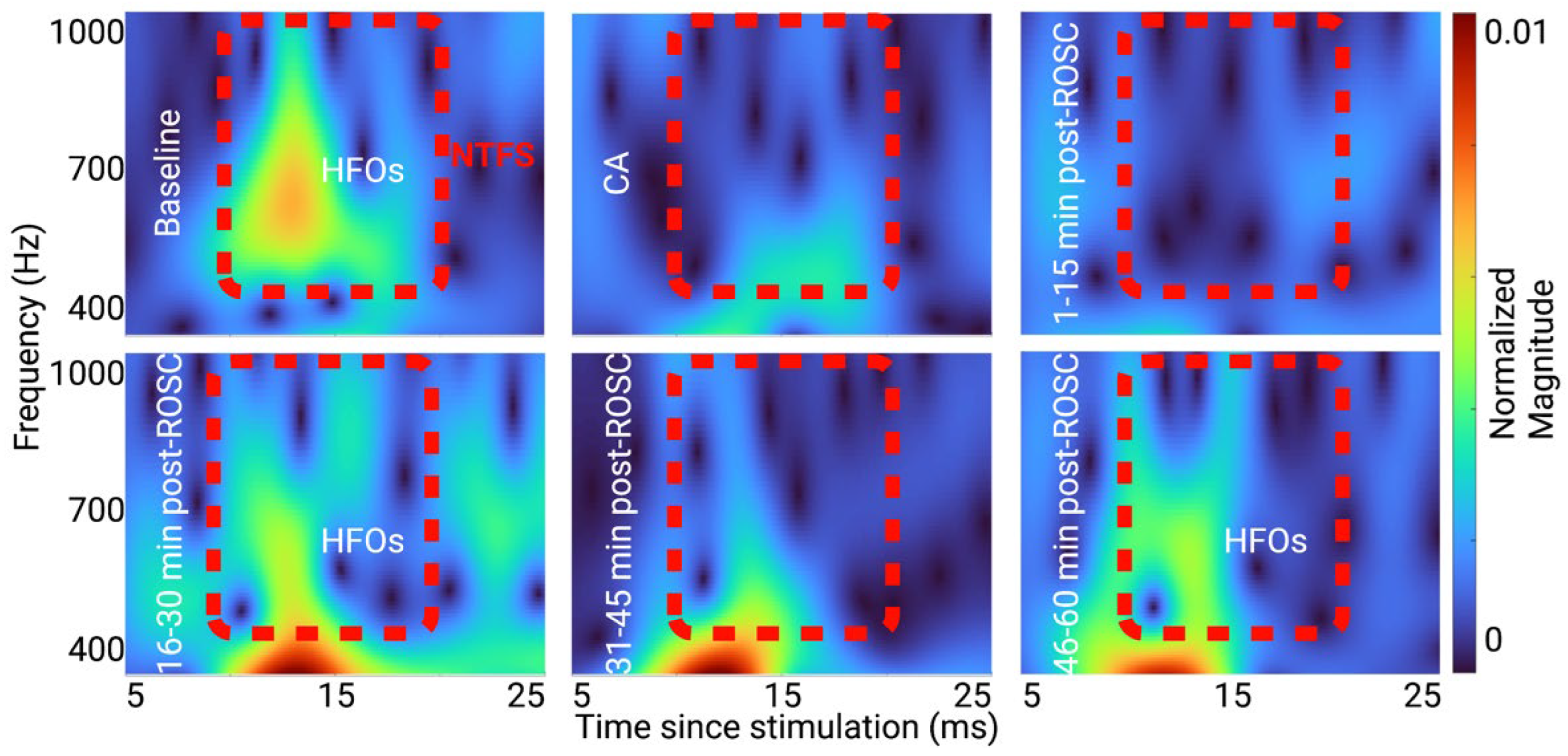 Brainsci 13 00002 g005