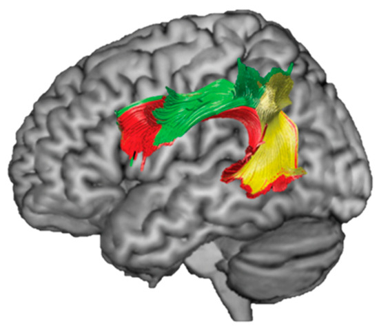 邦楽 DETERMINATIONS full of determination 邦楽 DETERMINATIONS full of determination Amazon.co.jp: full of