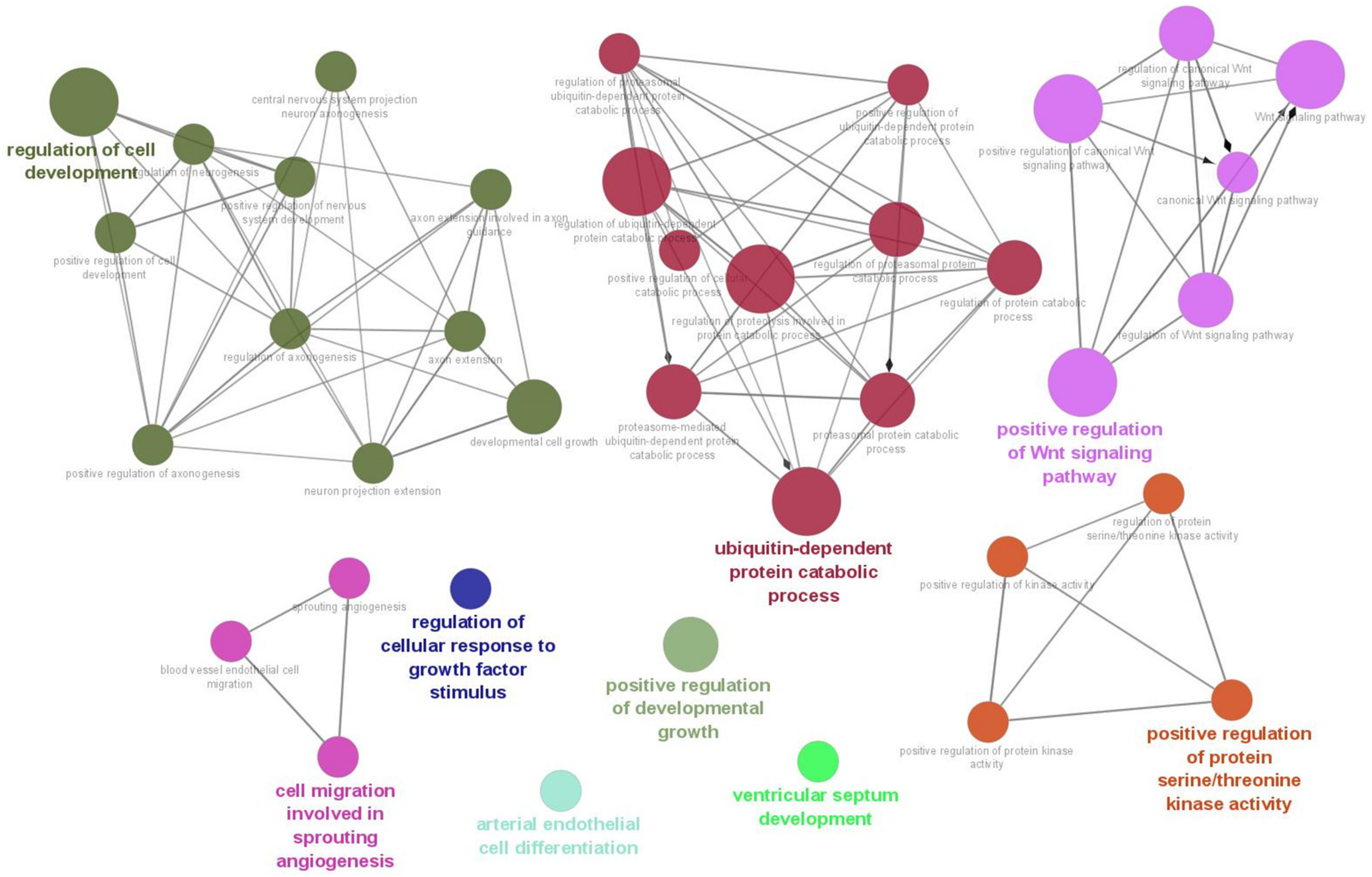 Brainsci 13 00027 g002