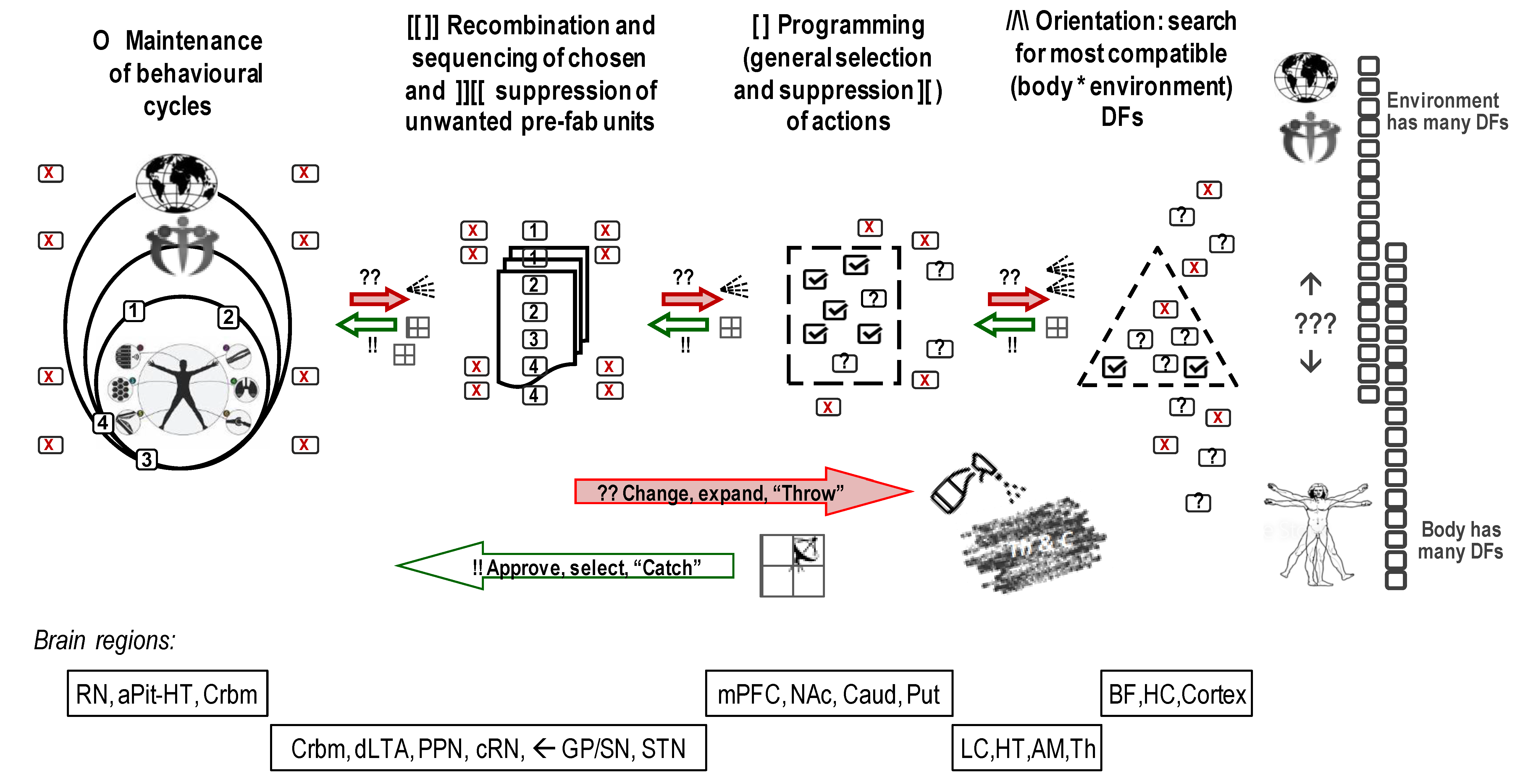 Brainsci 13 00039 g001 Brainsci 13 00039 g001