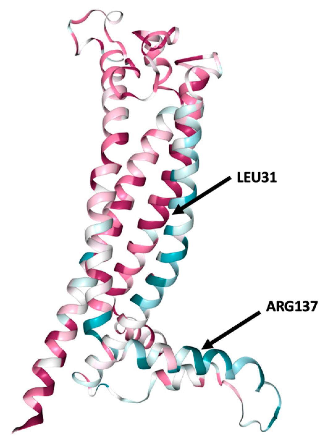 Brainsci 13 00042 g002 Brainsci 13 00042 g002