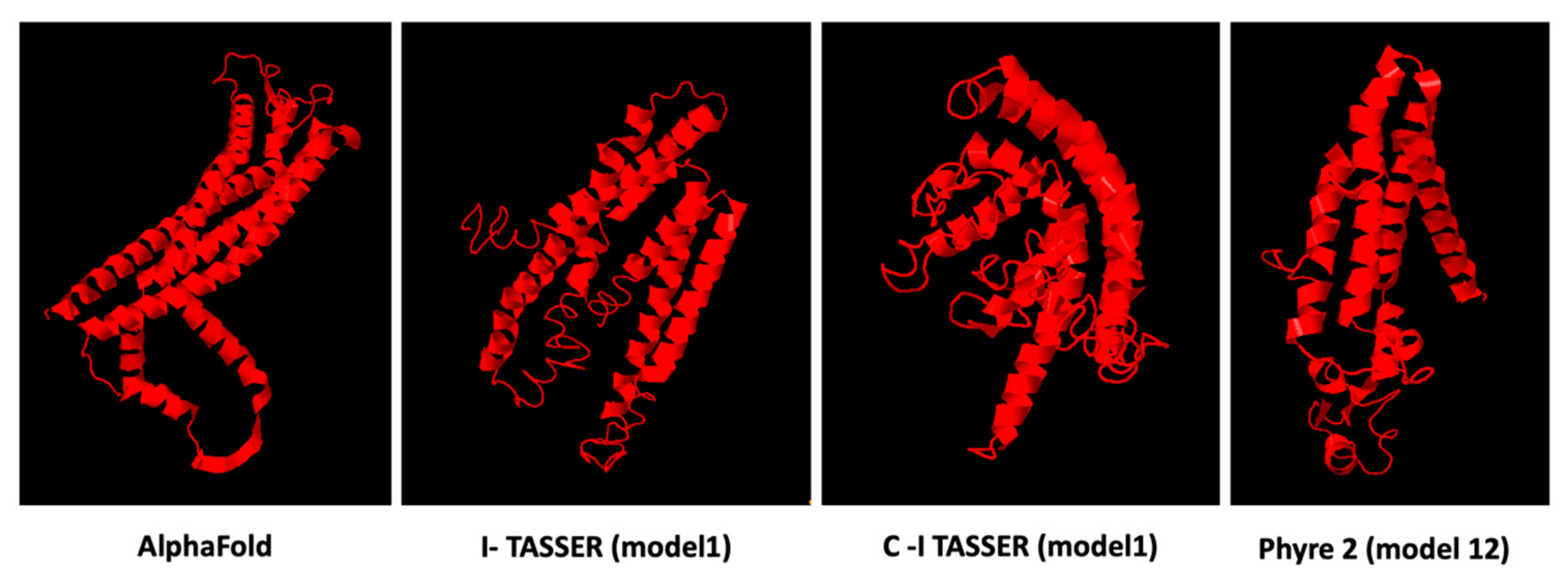 Brainsci 13 00042 g003 Brainsci 13 00042 g003