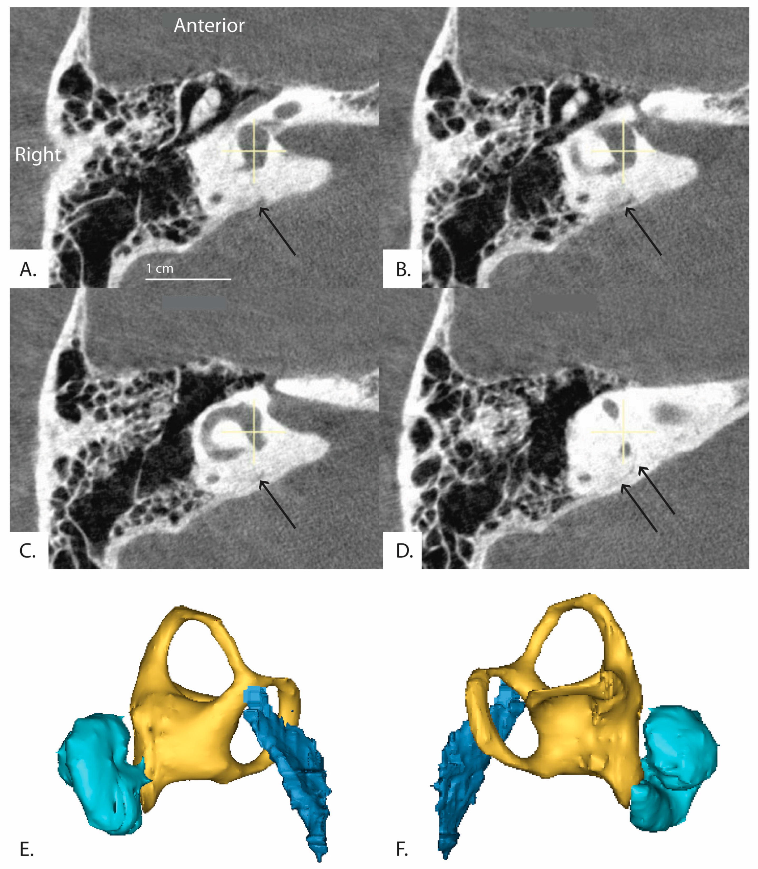 Brainsci 13 00047 g006 Brainsci 13 00047 g006