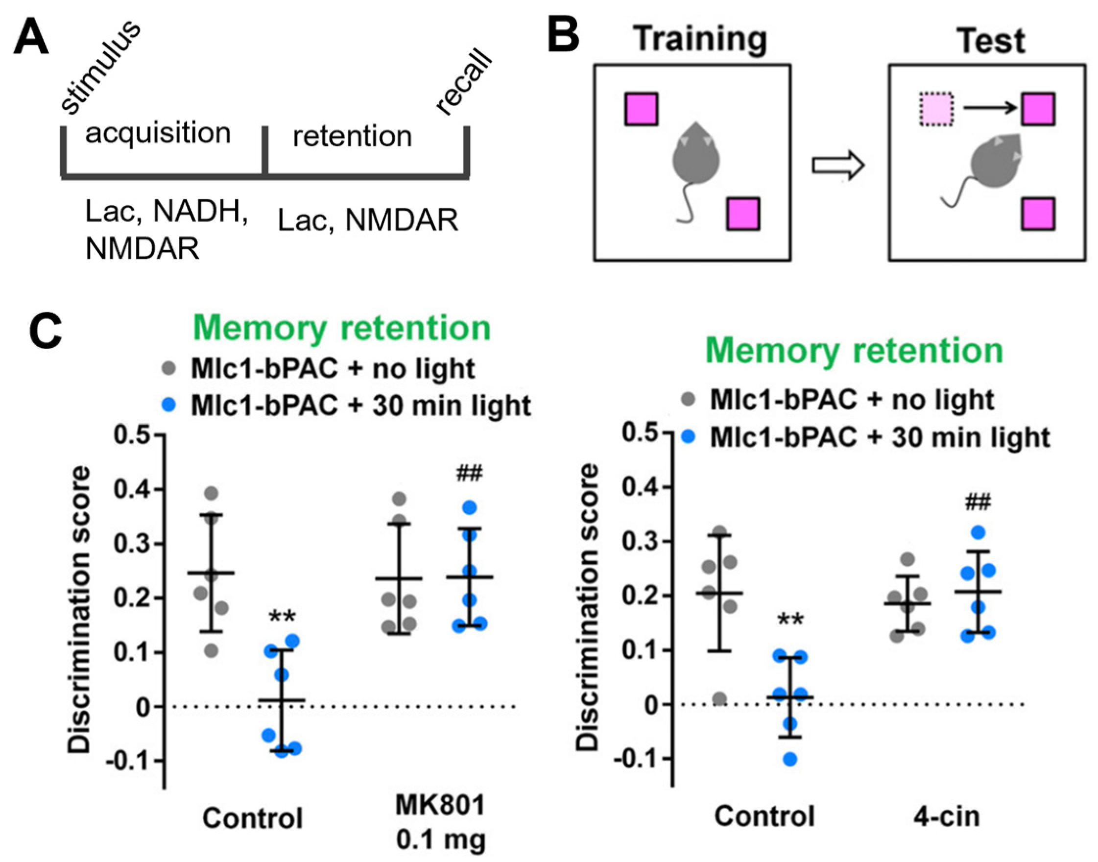 Brainsci 13 00049 g002 Brainsci 13 00049 g002
