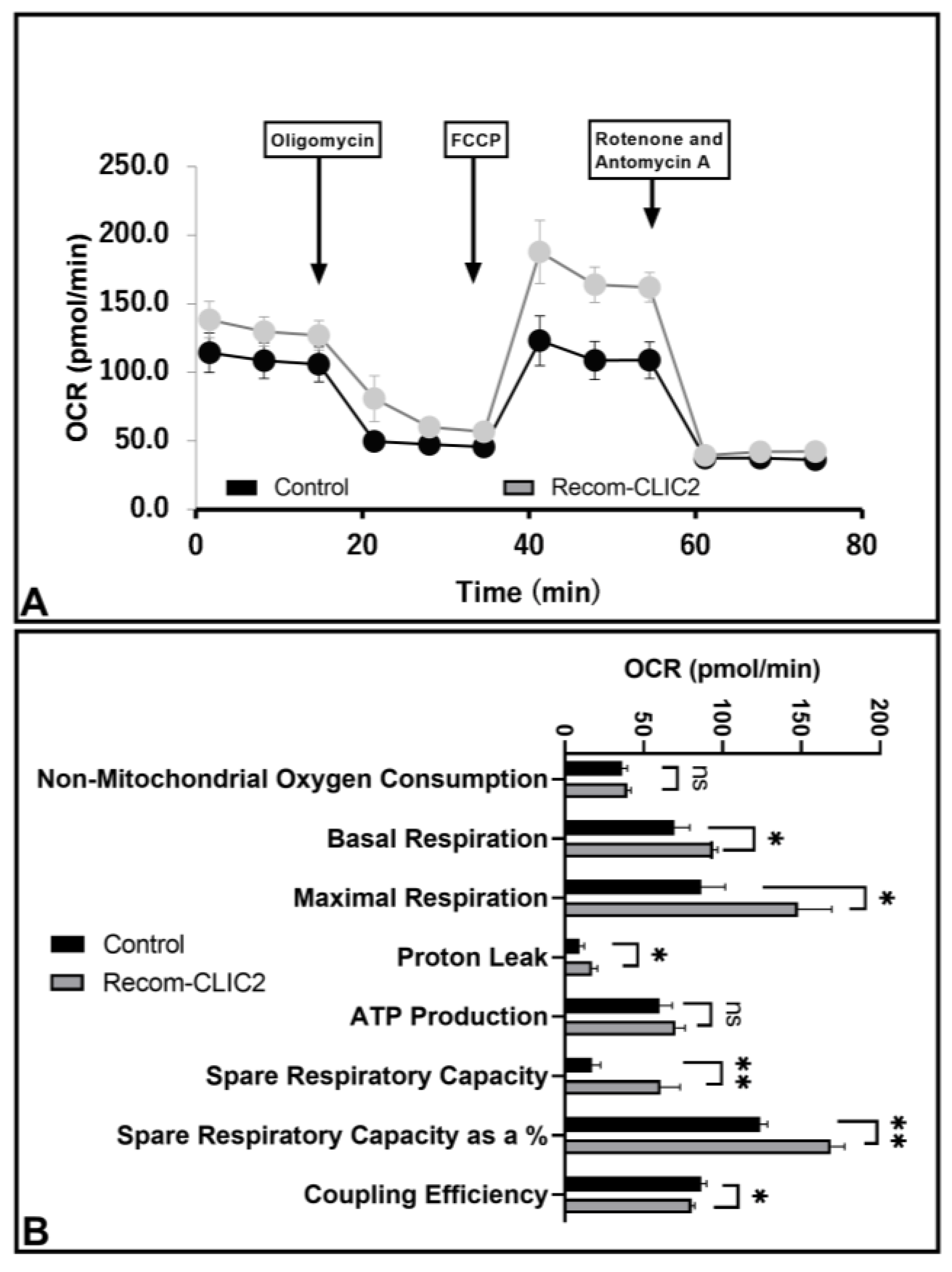 Brainsci 13 00055 g006 Brainsci 13 00055 g006