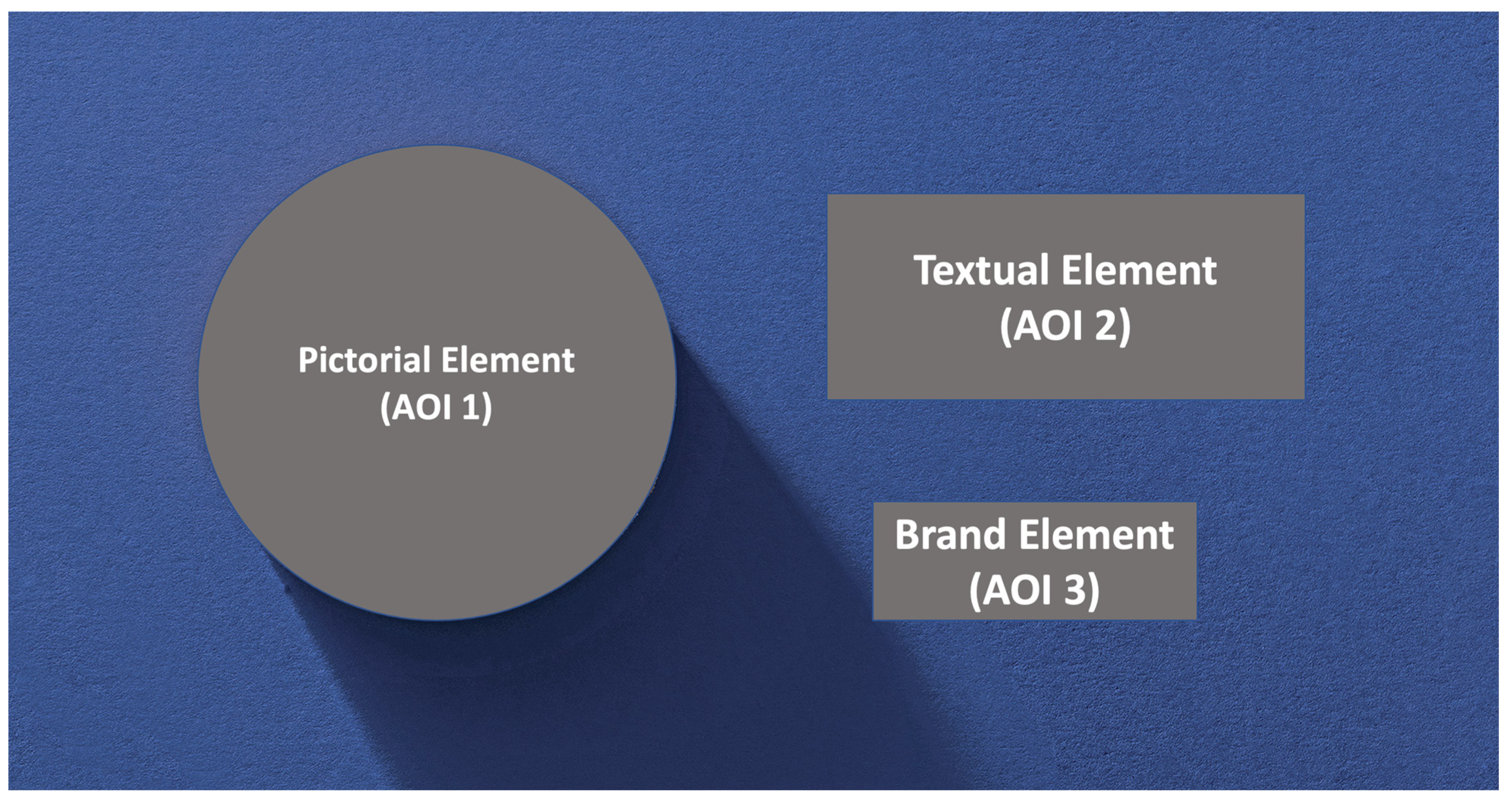Brainsci 13 00057 g003