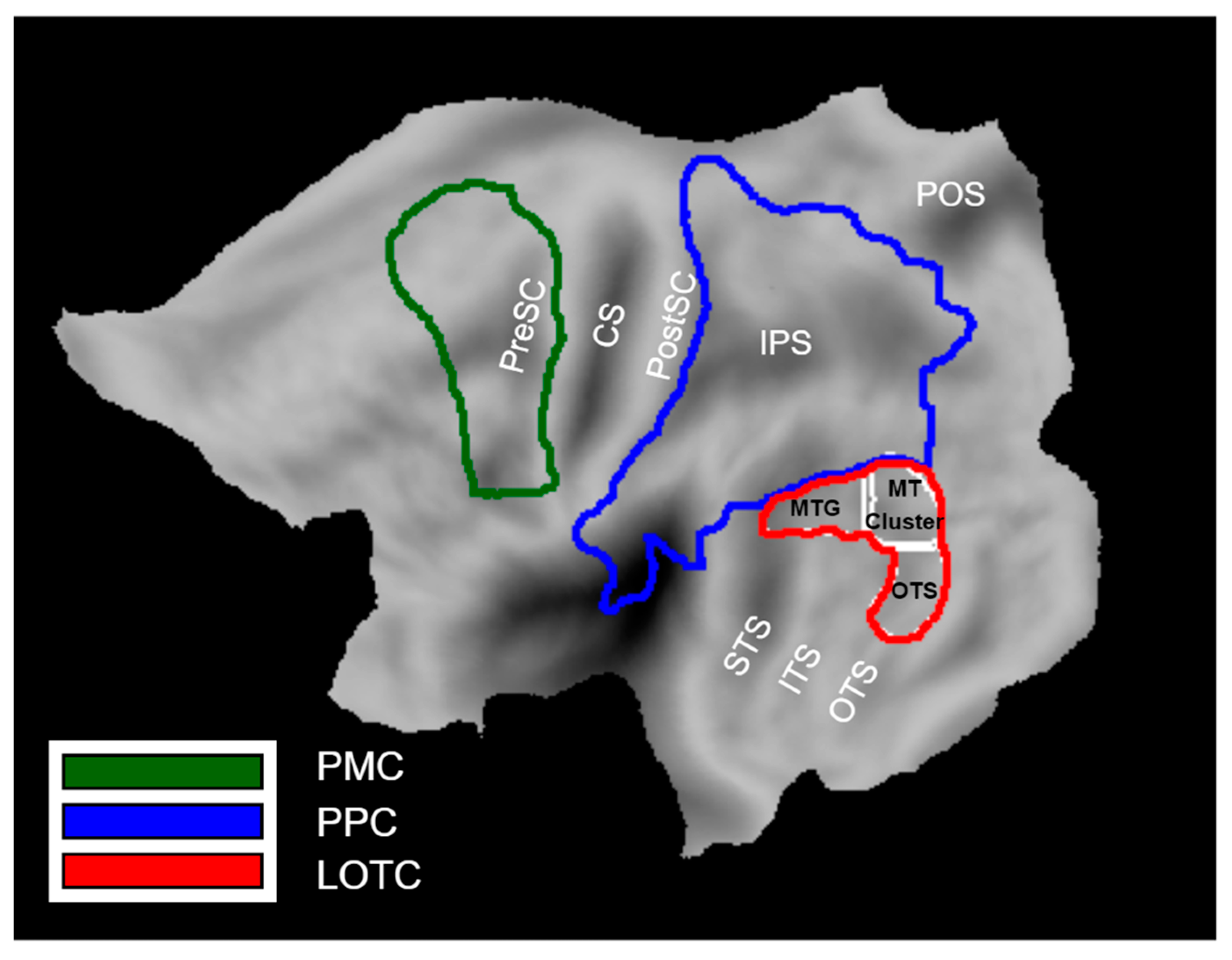 Brainsci 13 00061 g002 Brainsci 13 00061 g002