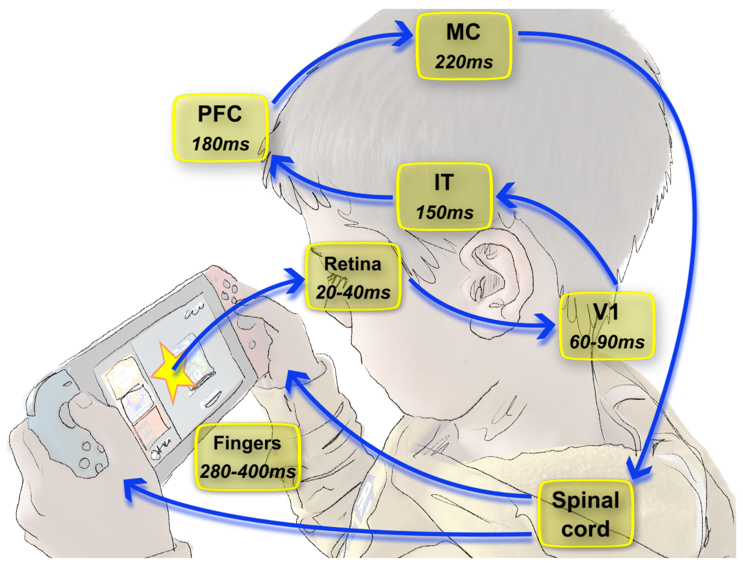 Brain Sciences, Free Full-Text