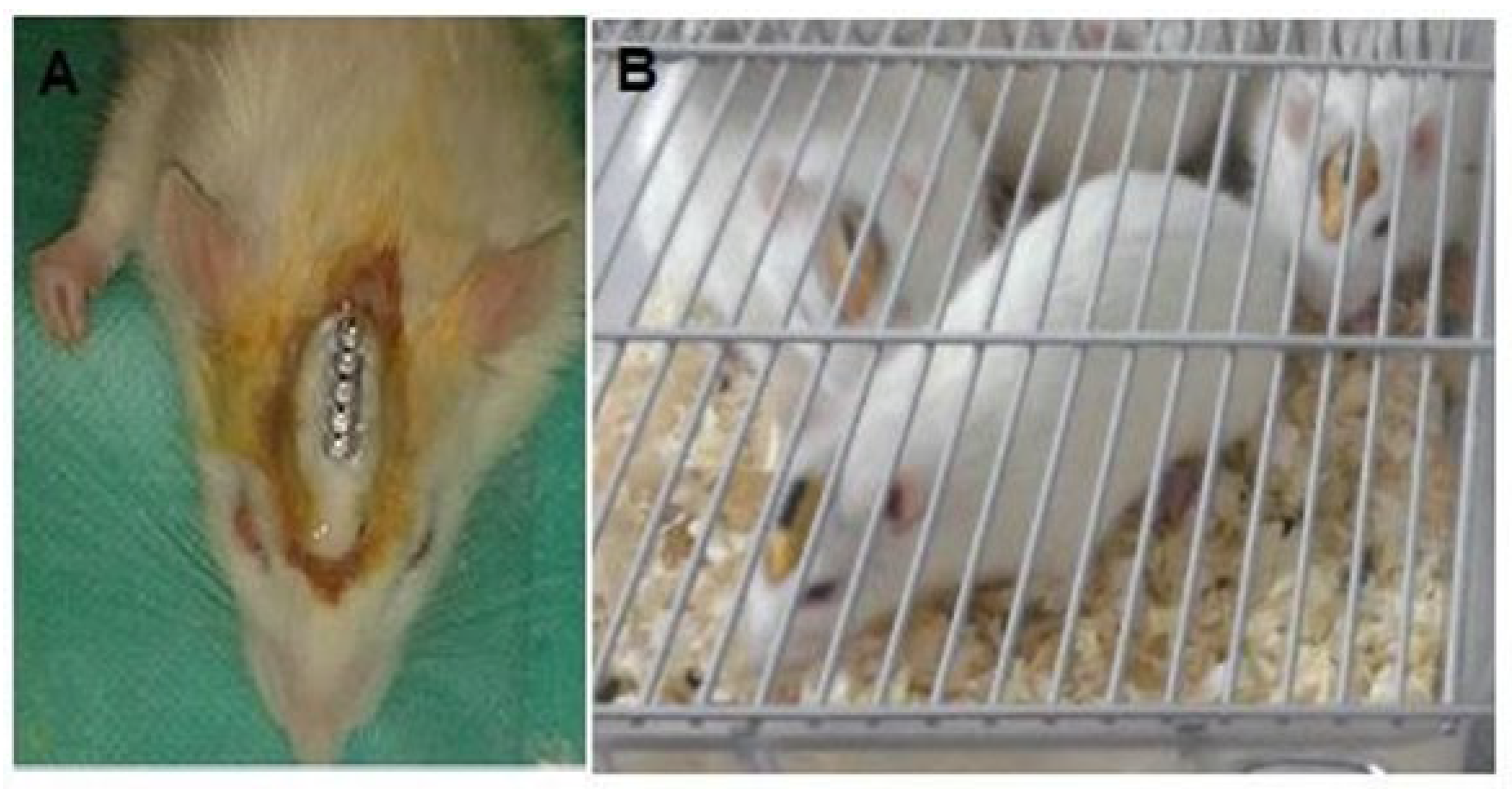 Brainsci 13 00072 g002