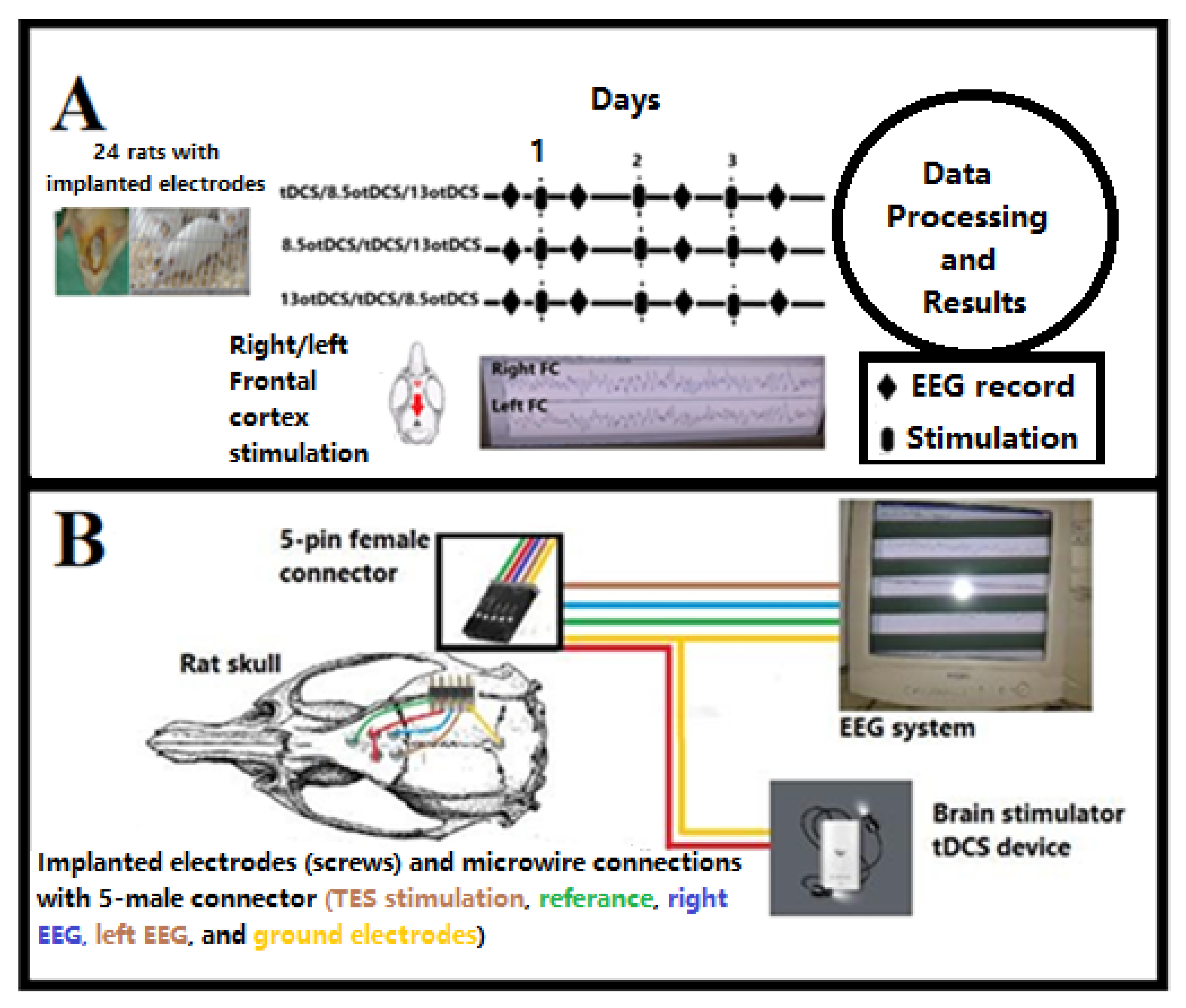 Brainsci 13 00072 g003