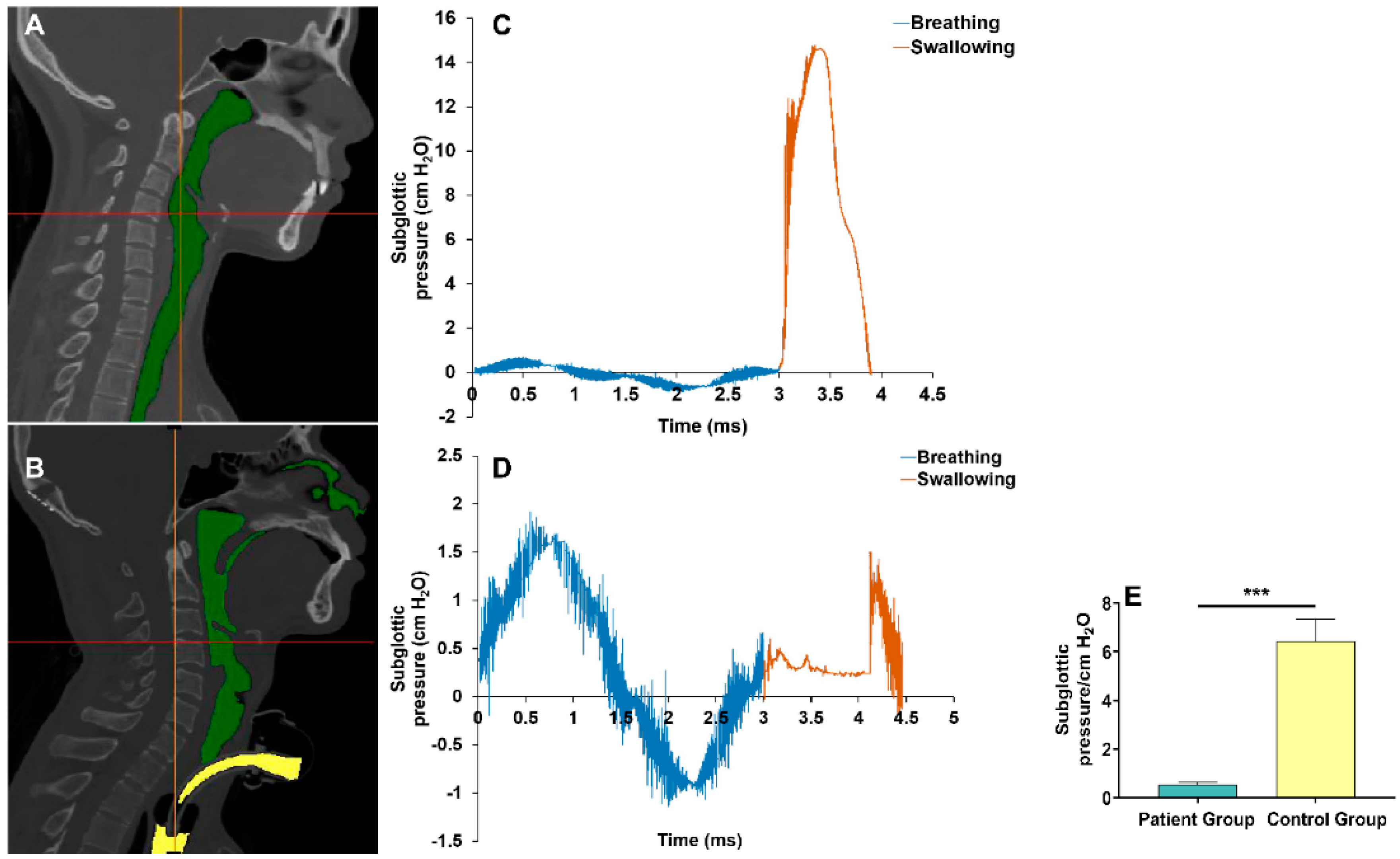 Brainsci 13 00091 g003 Brainsci 13 00091 g003