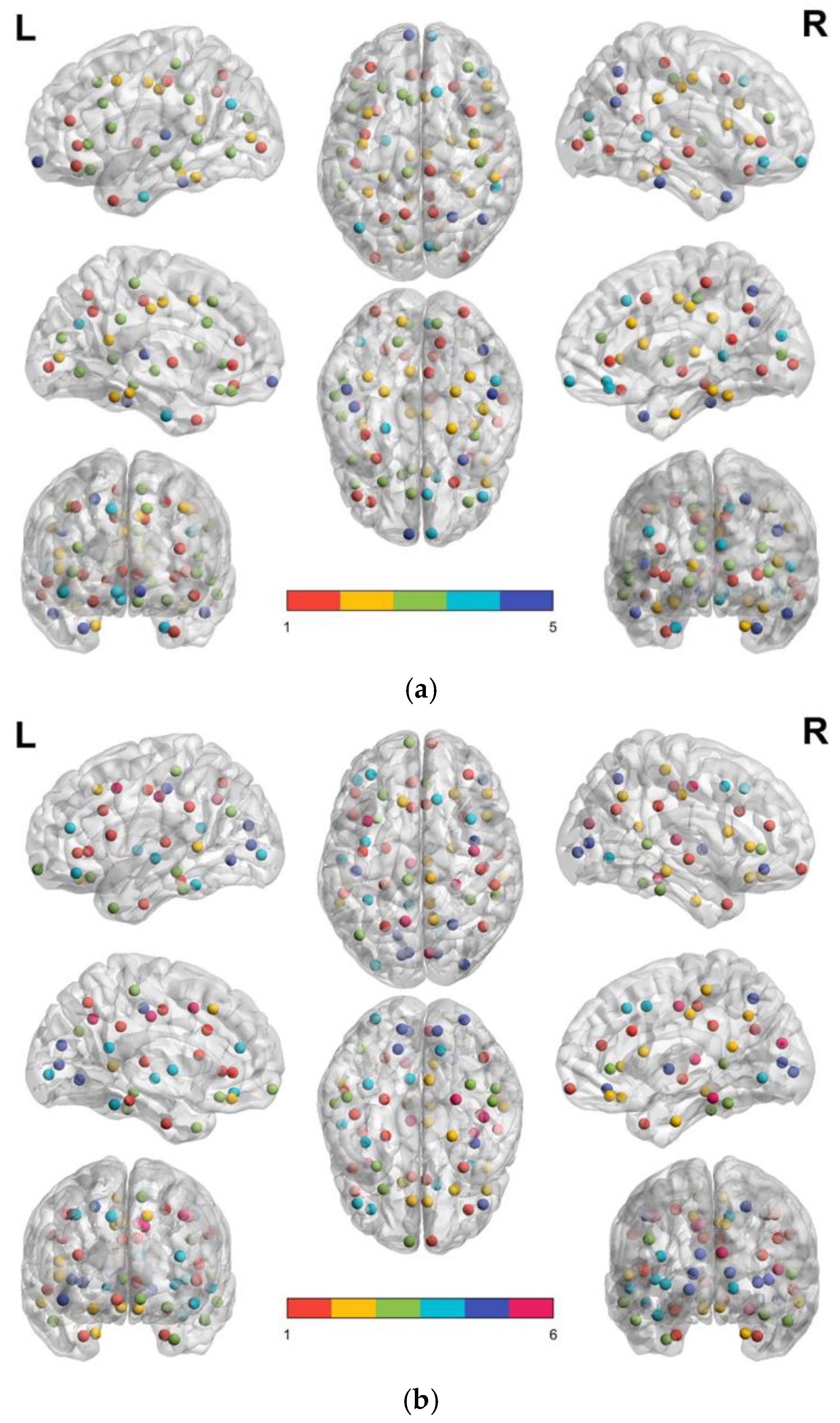 Brainsci 13 00093 g003