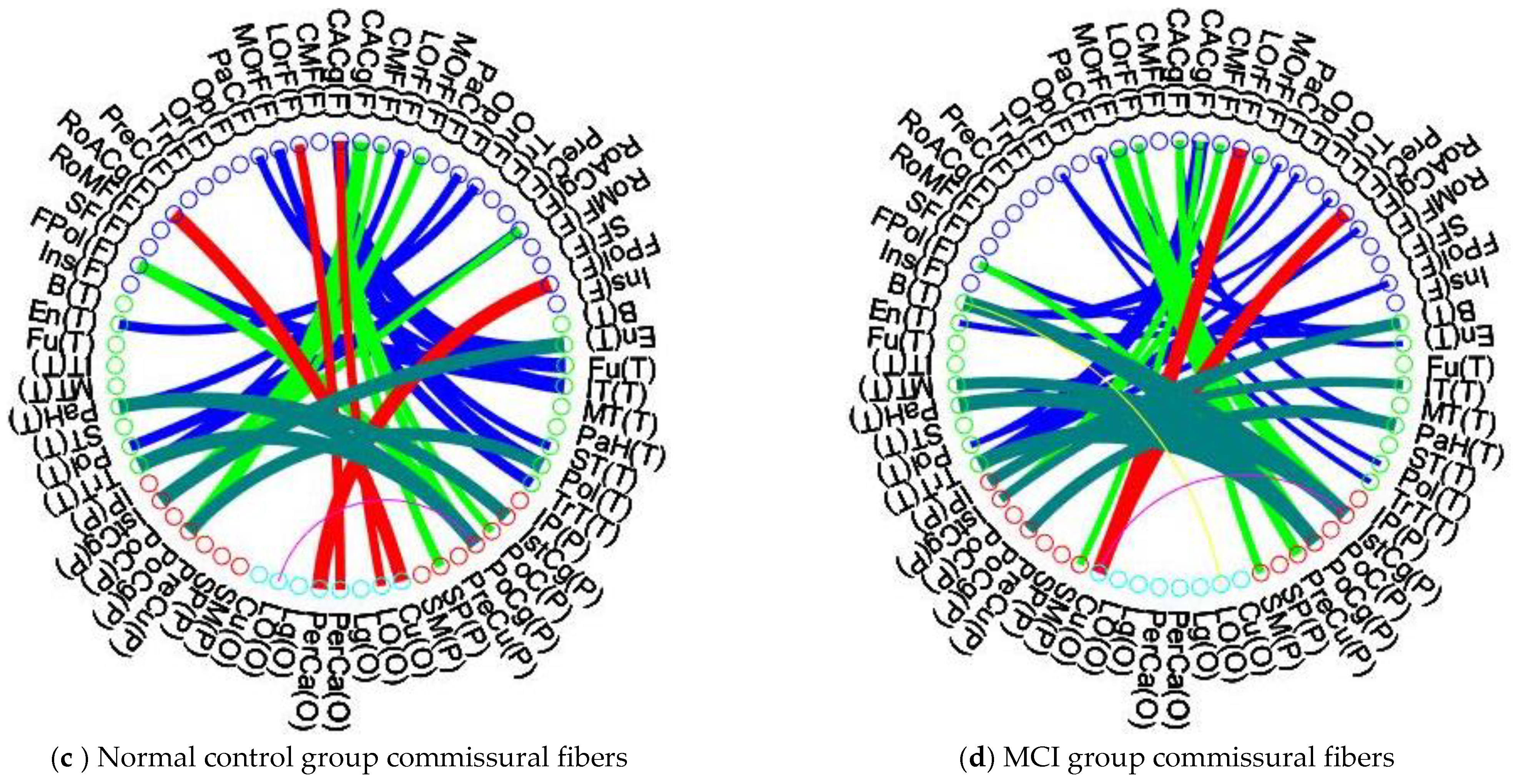 Brainsci 13 00093 g005b
