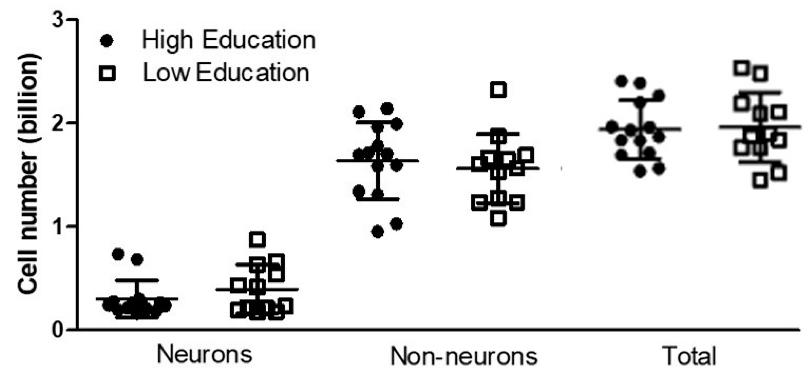 Brainsci 13 00104 g002