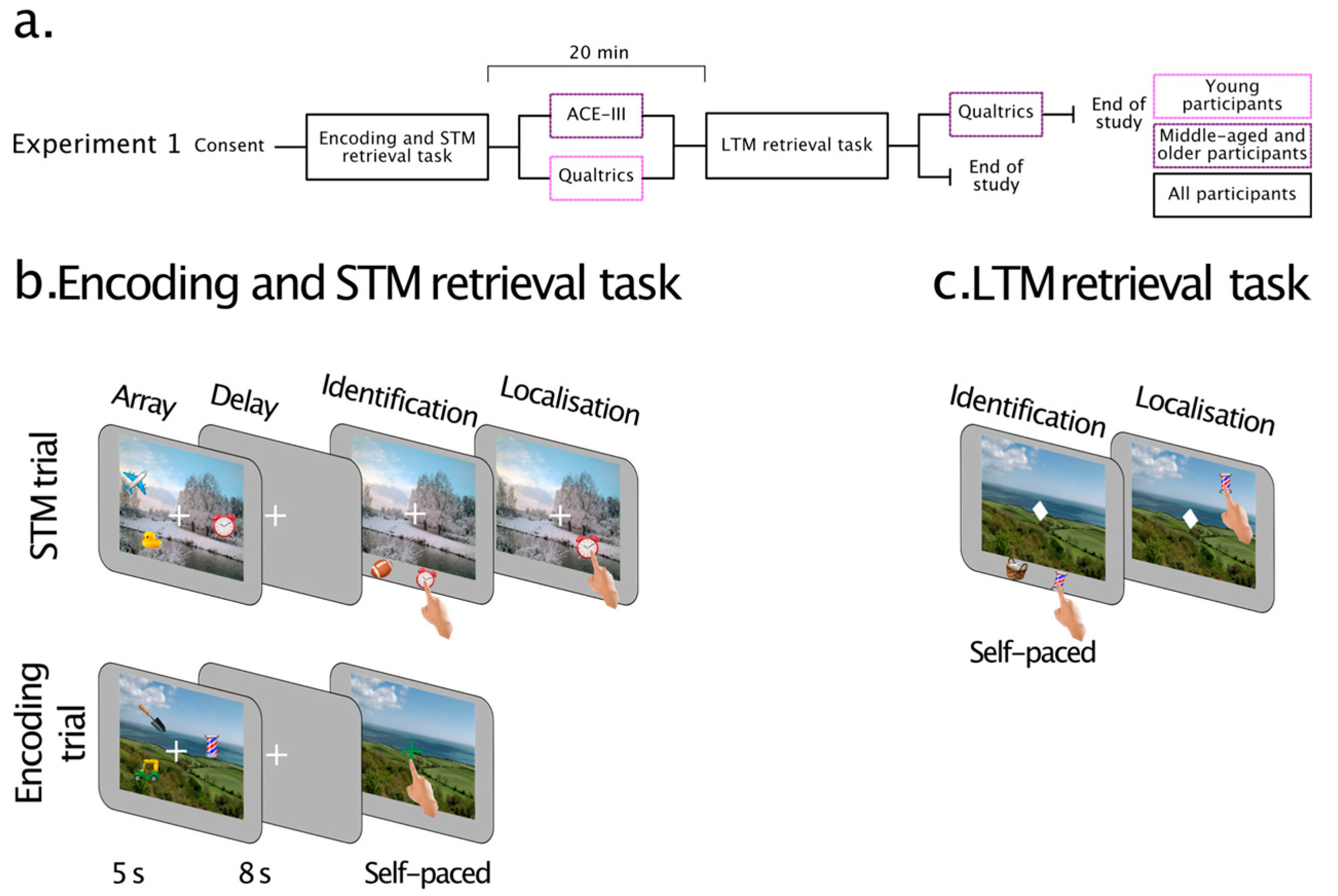 Brainsci 13 00106 g001 Brainsci 13 00106 g001