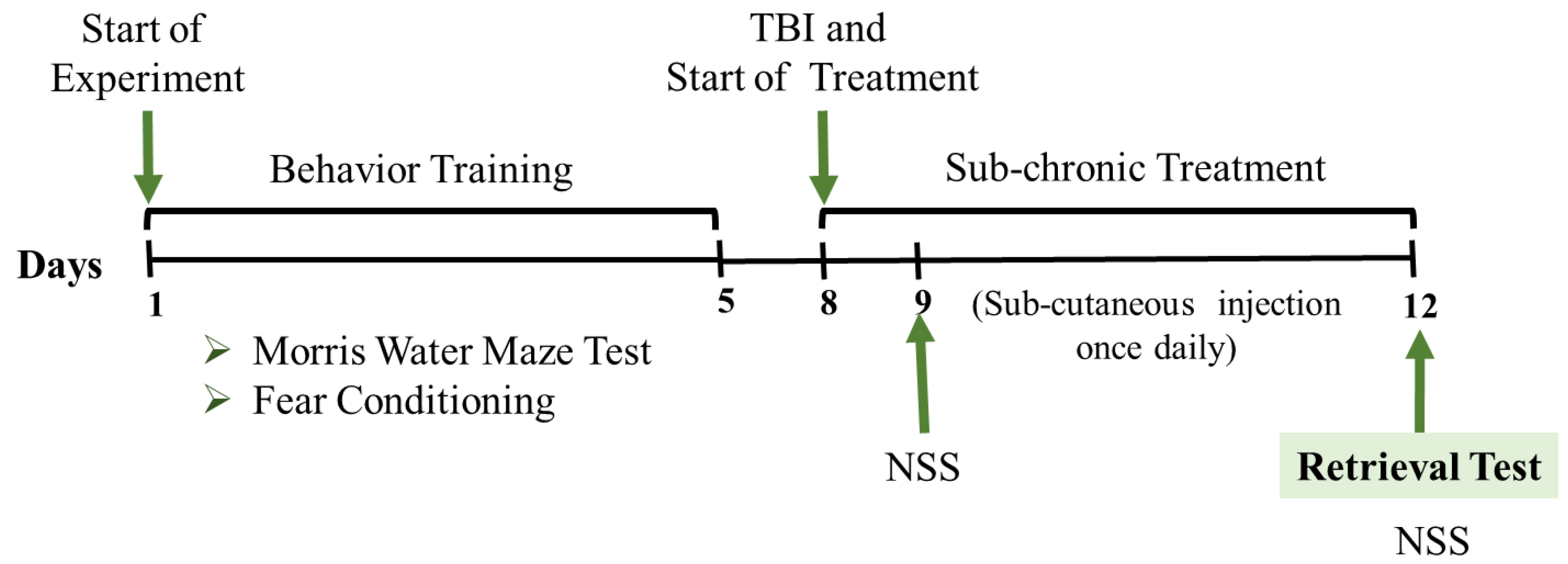 Brainsci 13 00108 g001