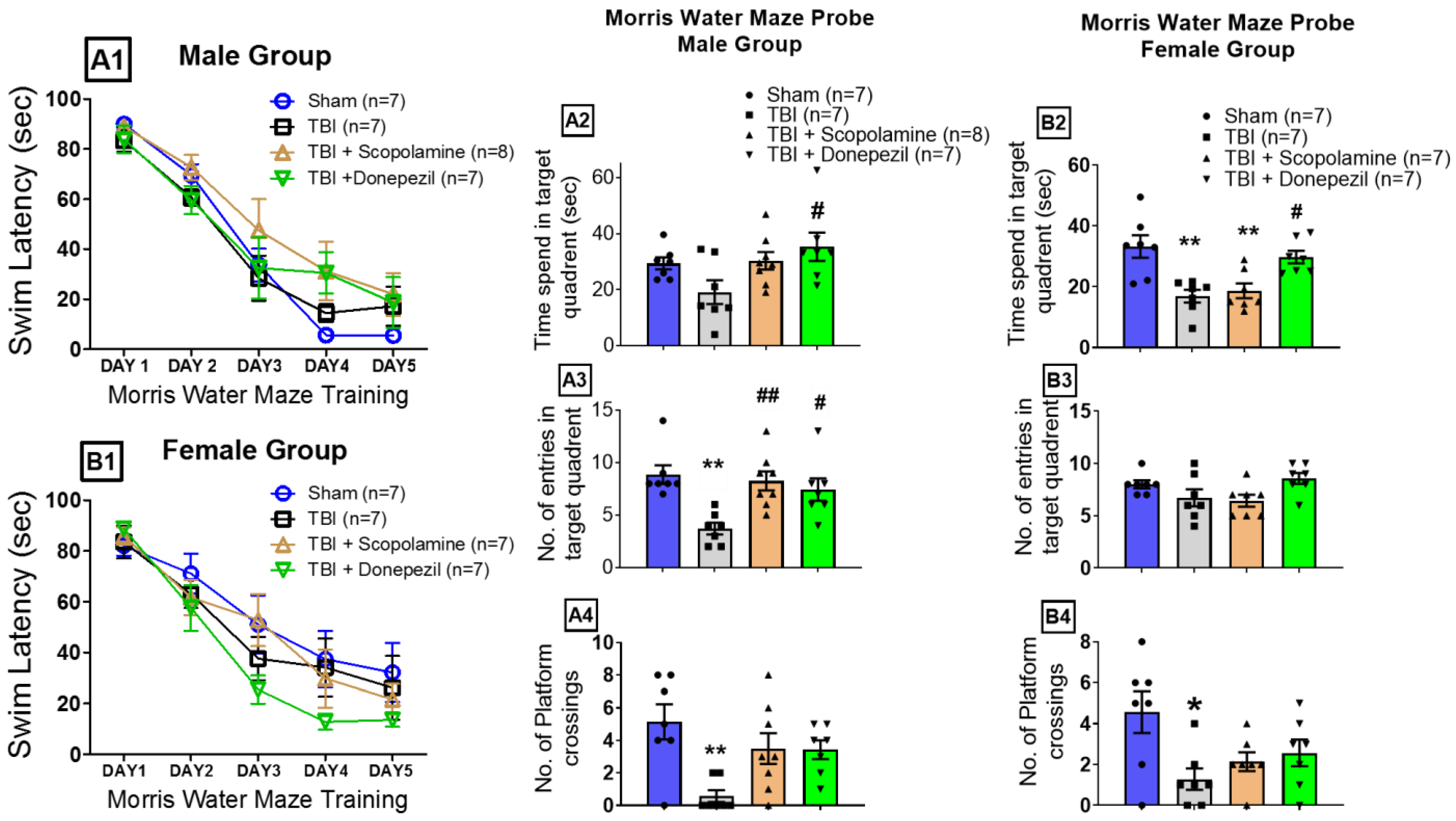 Brainsci 13 00108 g004