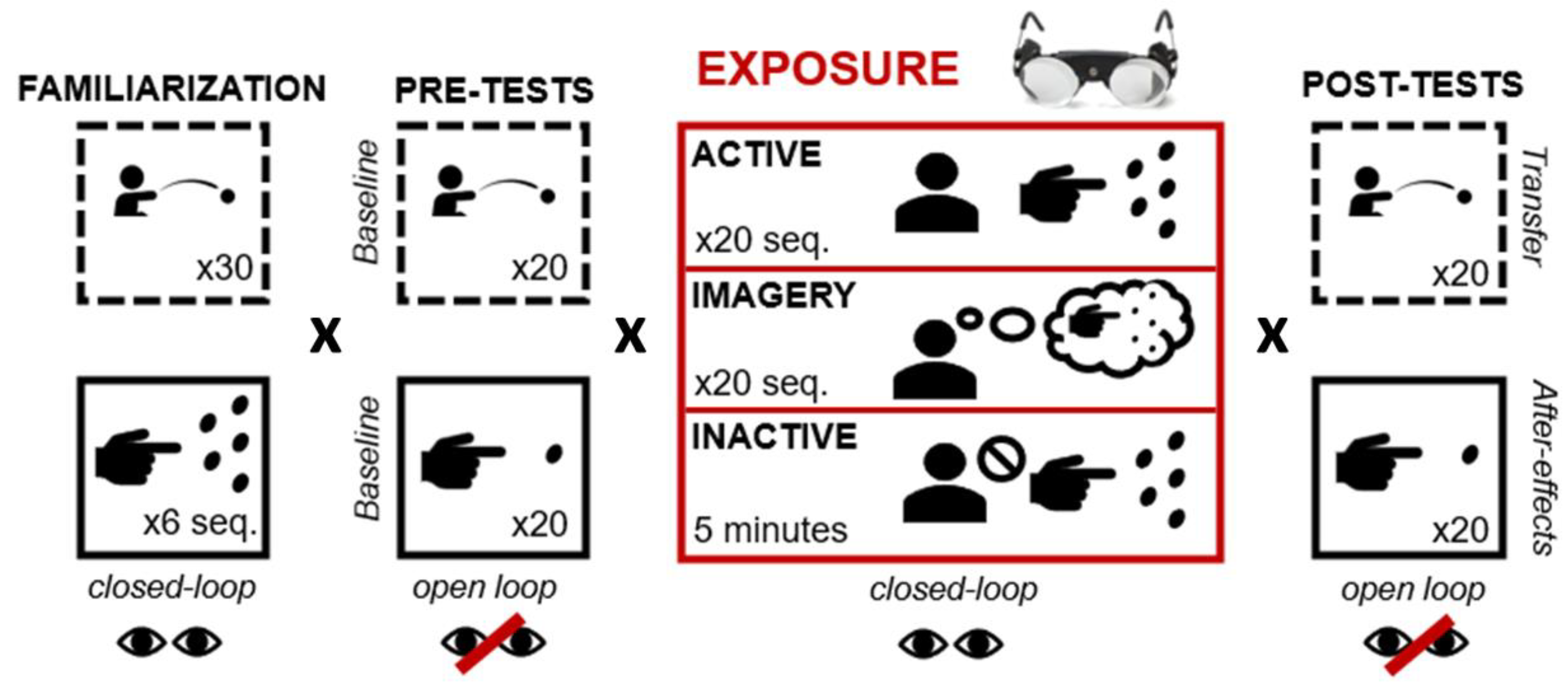 Brainsci 13 00114 g001