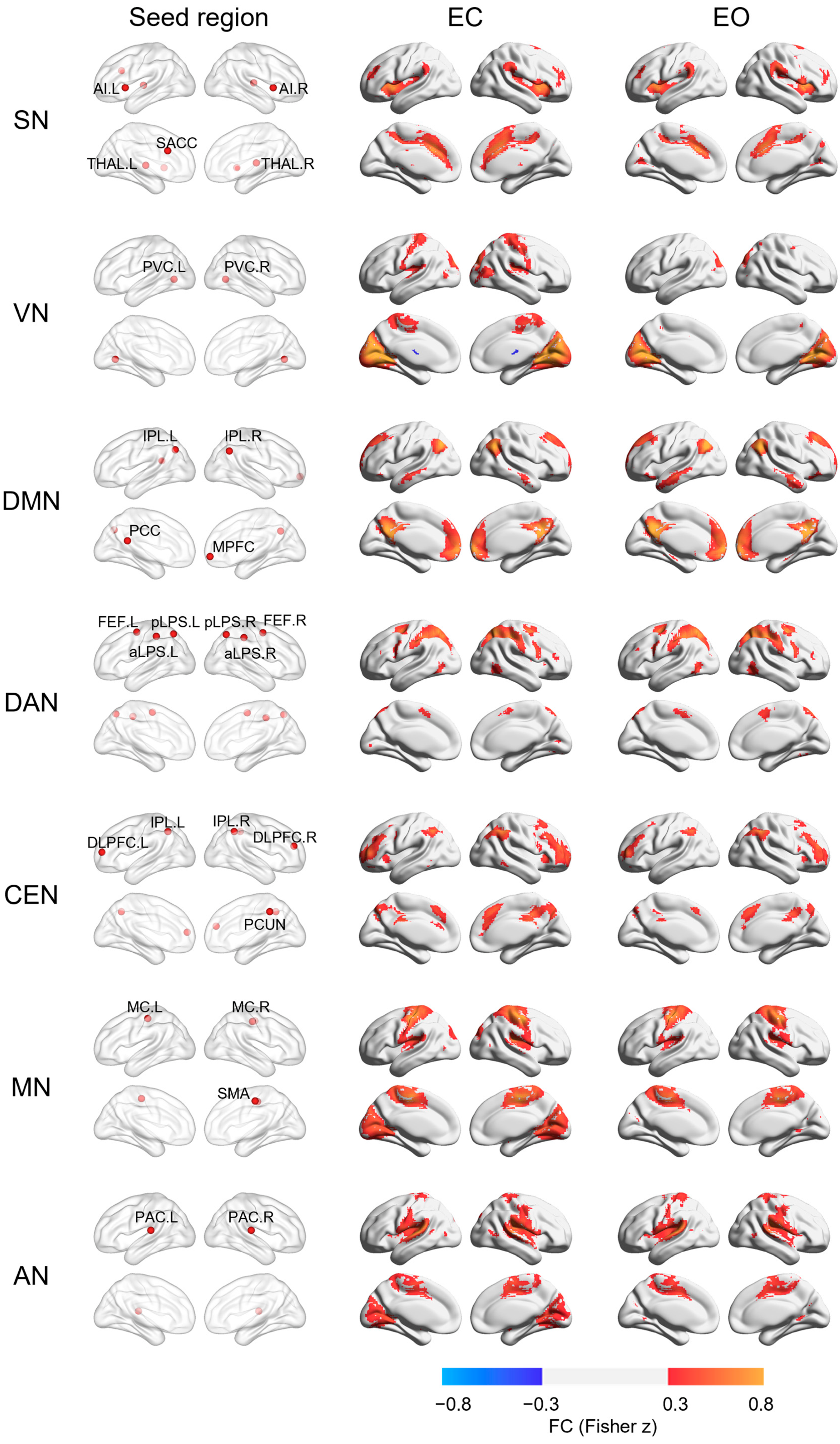 Brainsci 13 00122 g001 Brainsci 13 00122 g001
