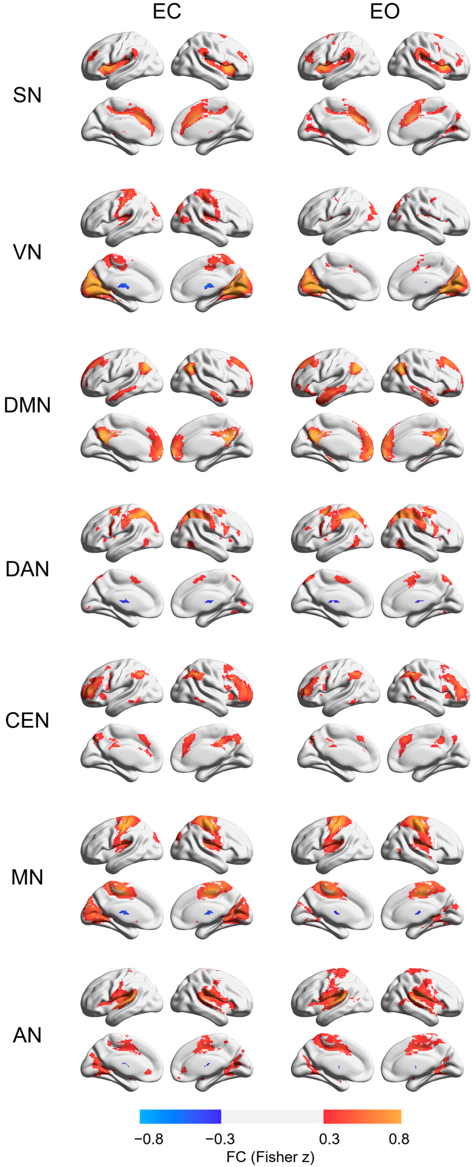Brainsci 13 00122 g0a2 Brainsci 13 00122 g0a2