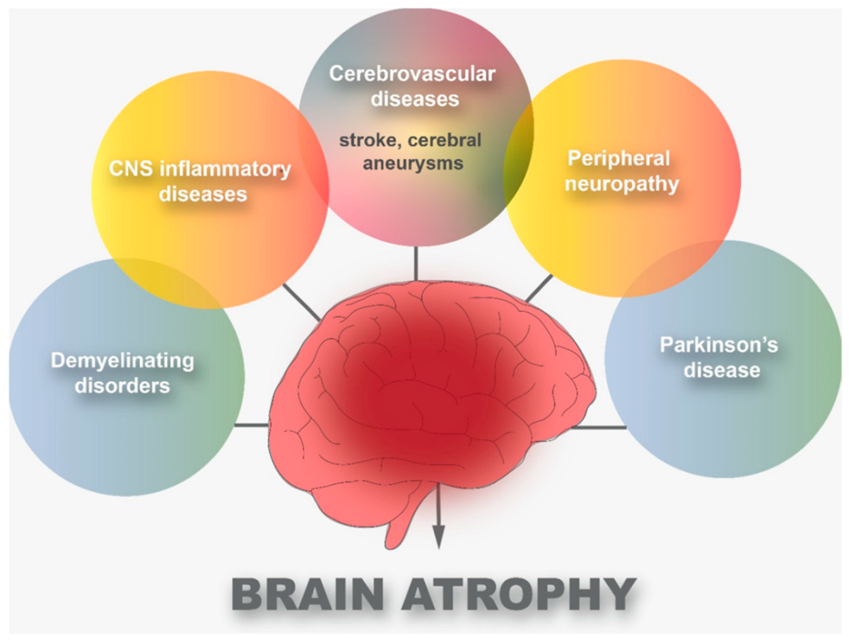 Brainsci 13 00131 g002 Brainsci 13 00131 g002