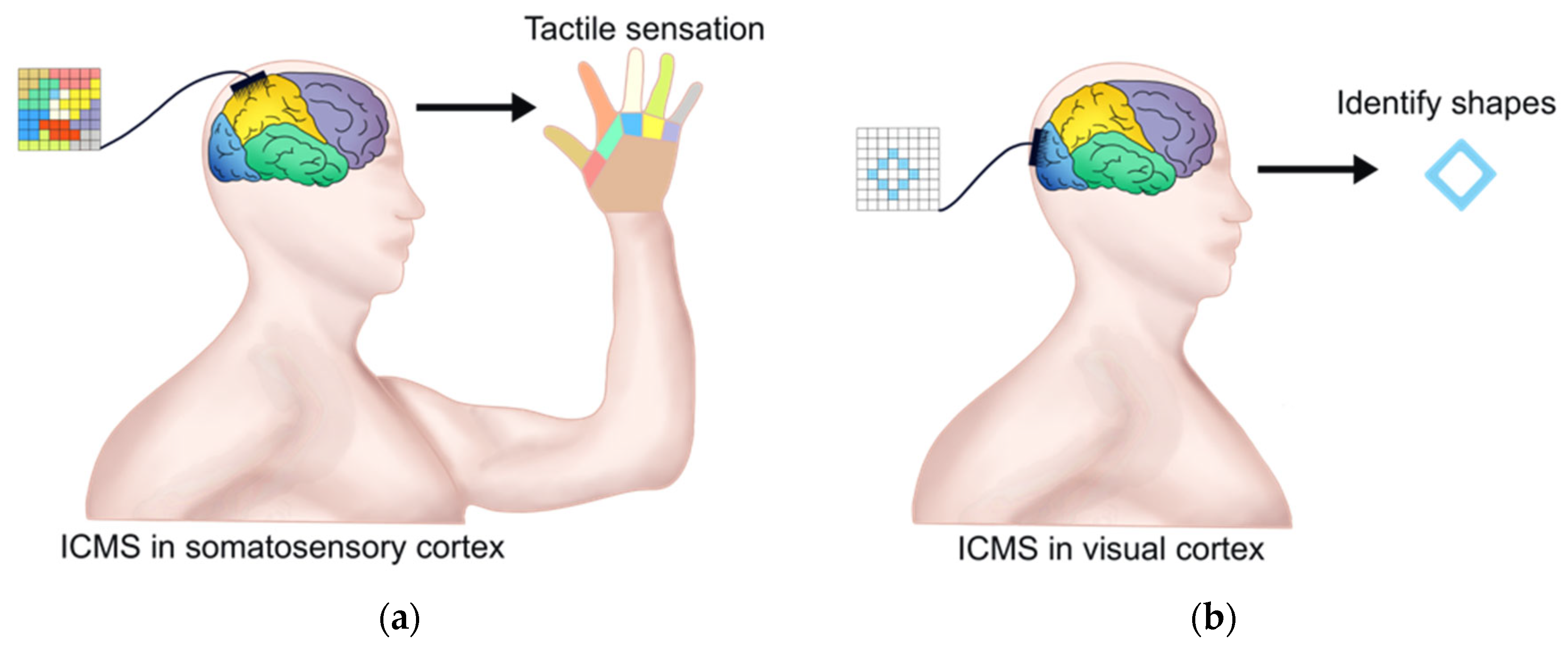 A brain-computer interface that evokes tactile sensations improves robotic  arm control