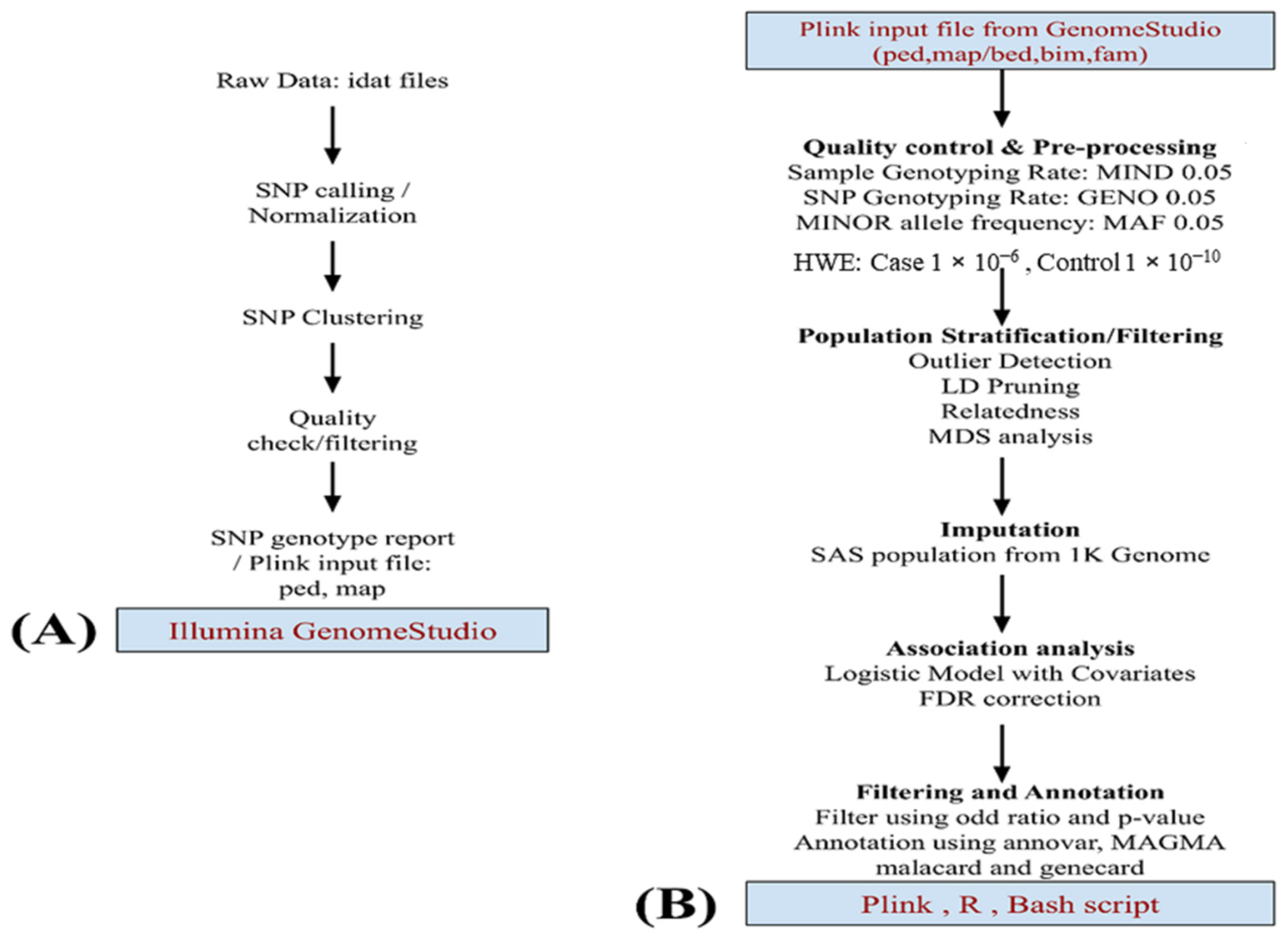 Brainsci 13 00136 g001 Brainsci 13 00136 g001